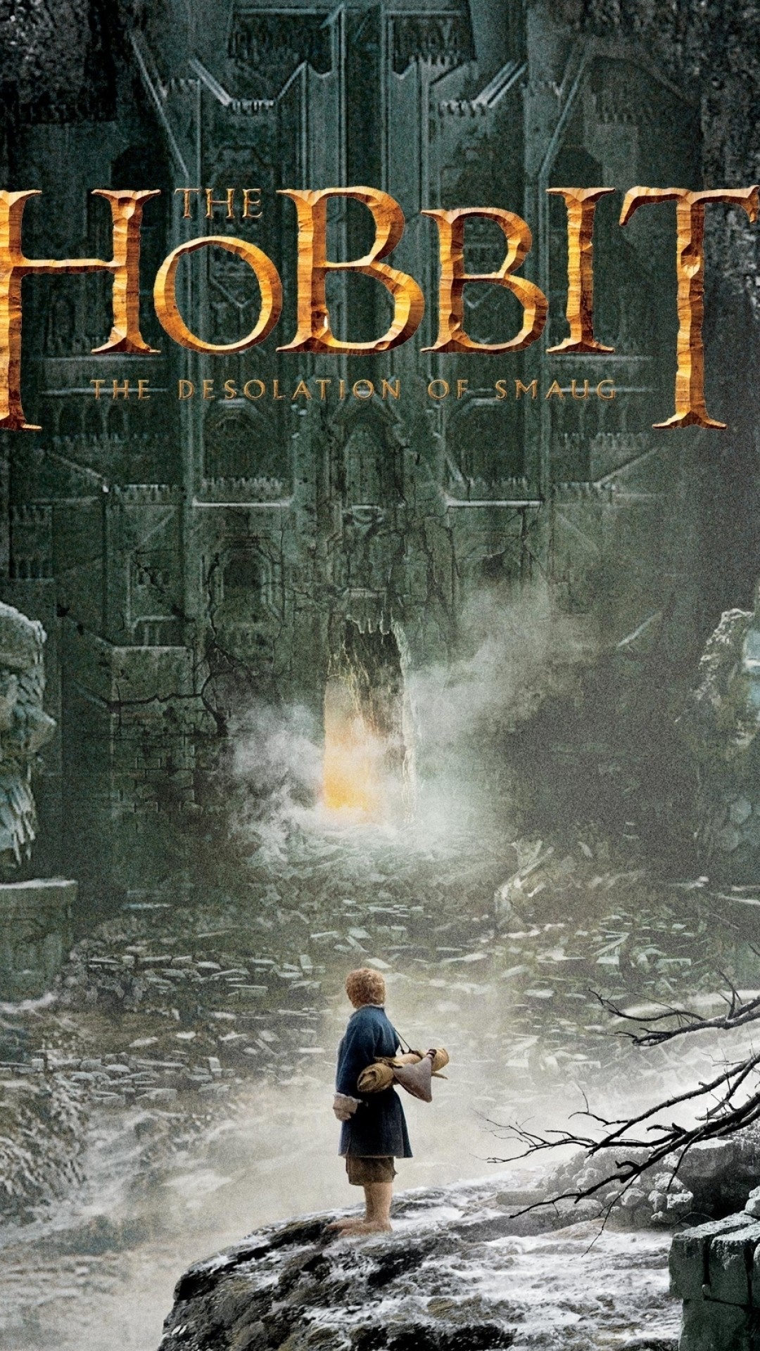 1080x1920 Movie The Hobbit: The Desolation Of Smaug. Wallpaper 457211
