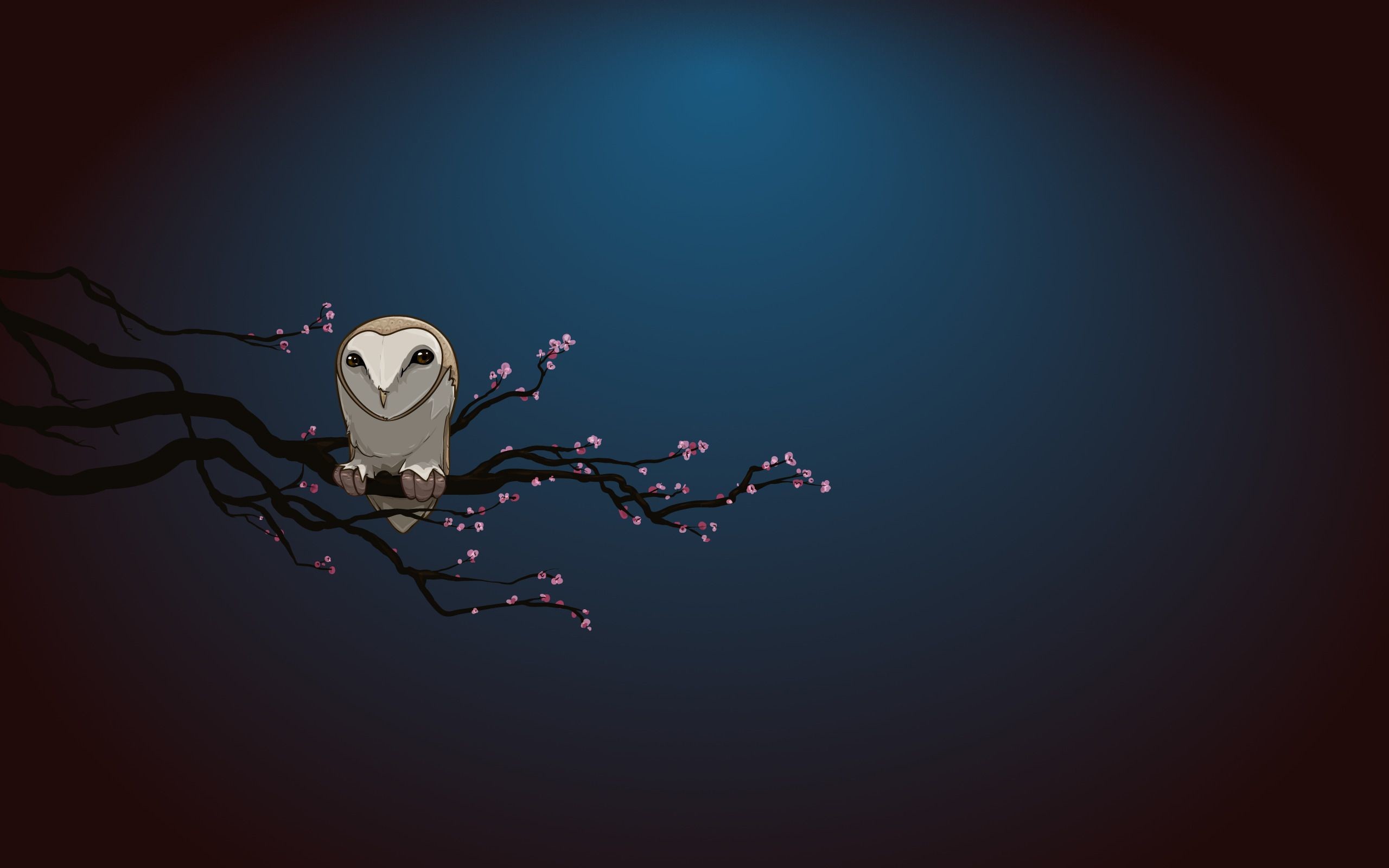 2560x1600 pin Drawn owl desktop wallpaper #6