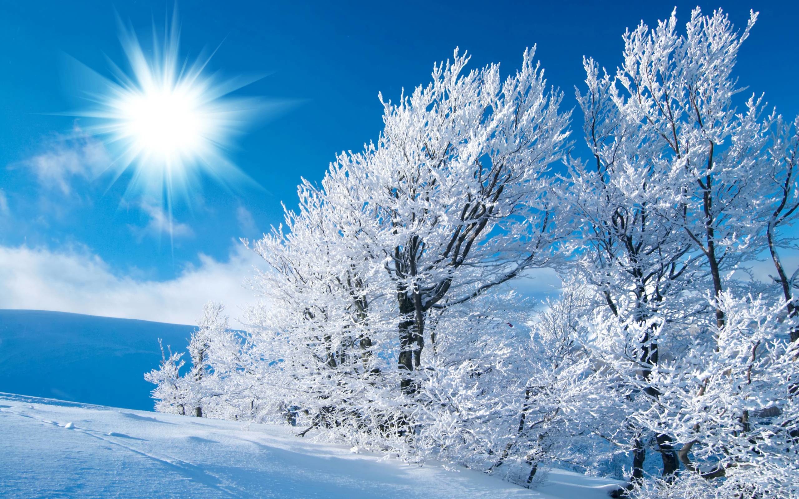 2560x1600 Free Winter Backgrounds Wallpapers - Wallpaper Cave