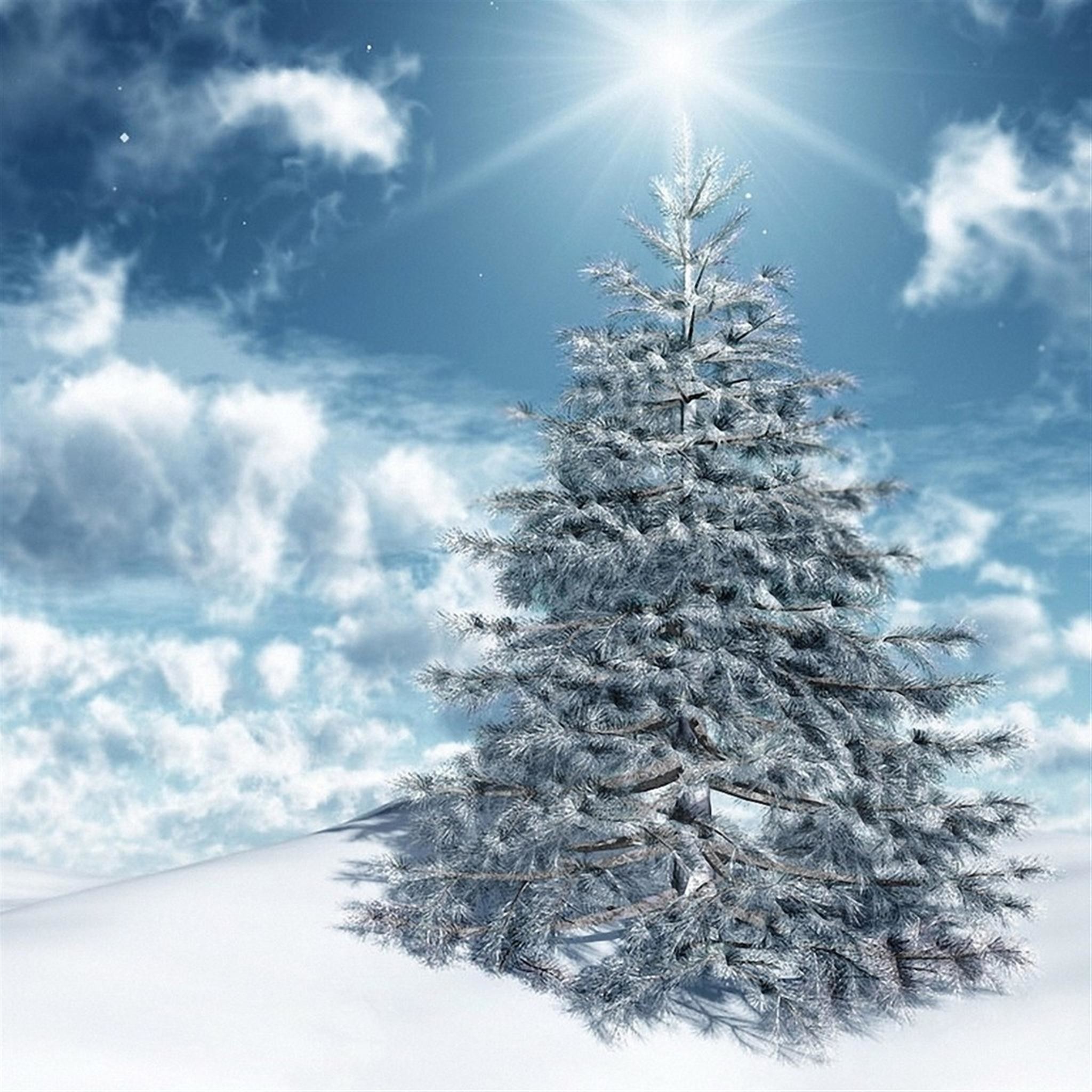 2048x2048 Galerry christmas wallpaper for ipad air