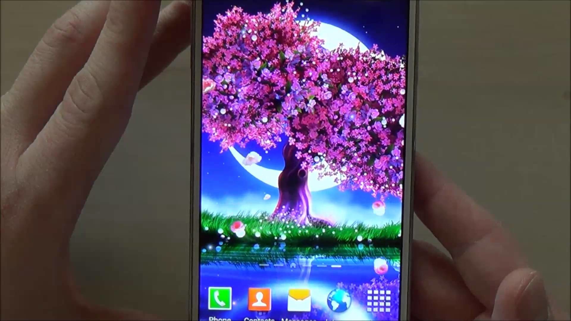1920x1080 Free cherry blossom live wallpaper for Android phones and tablets - YouTube