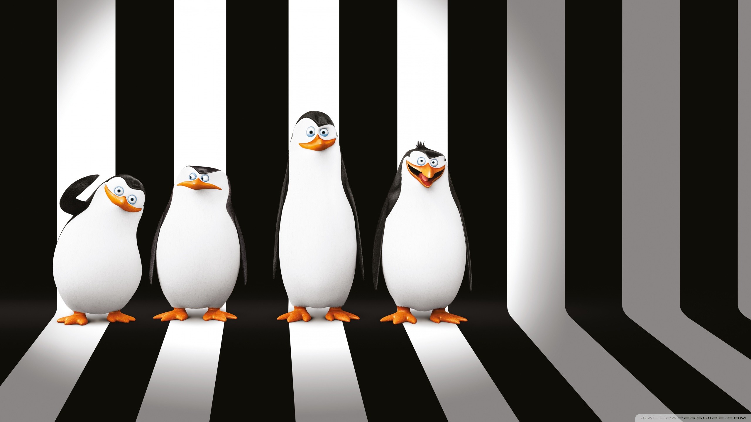 2560x1440 Penguins of Madagascar Movie HD desktop wallpaper : Widescreen
