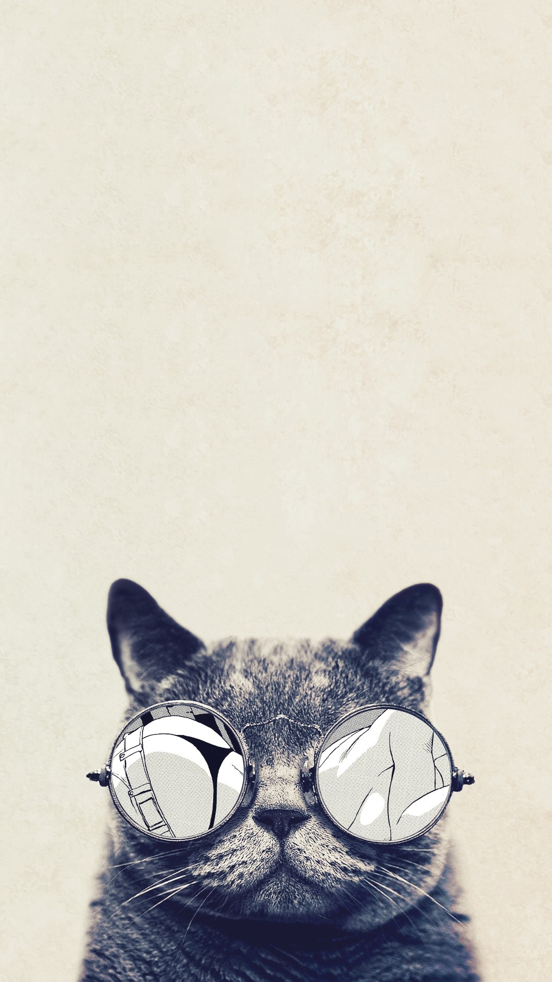 1080x1920 Click here to download 768x1366 pixel Cool Cat Glasses Galaxy Note HD  Wallpaper
