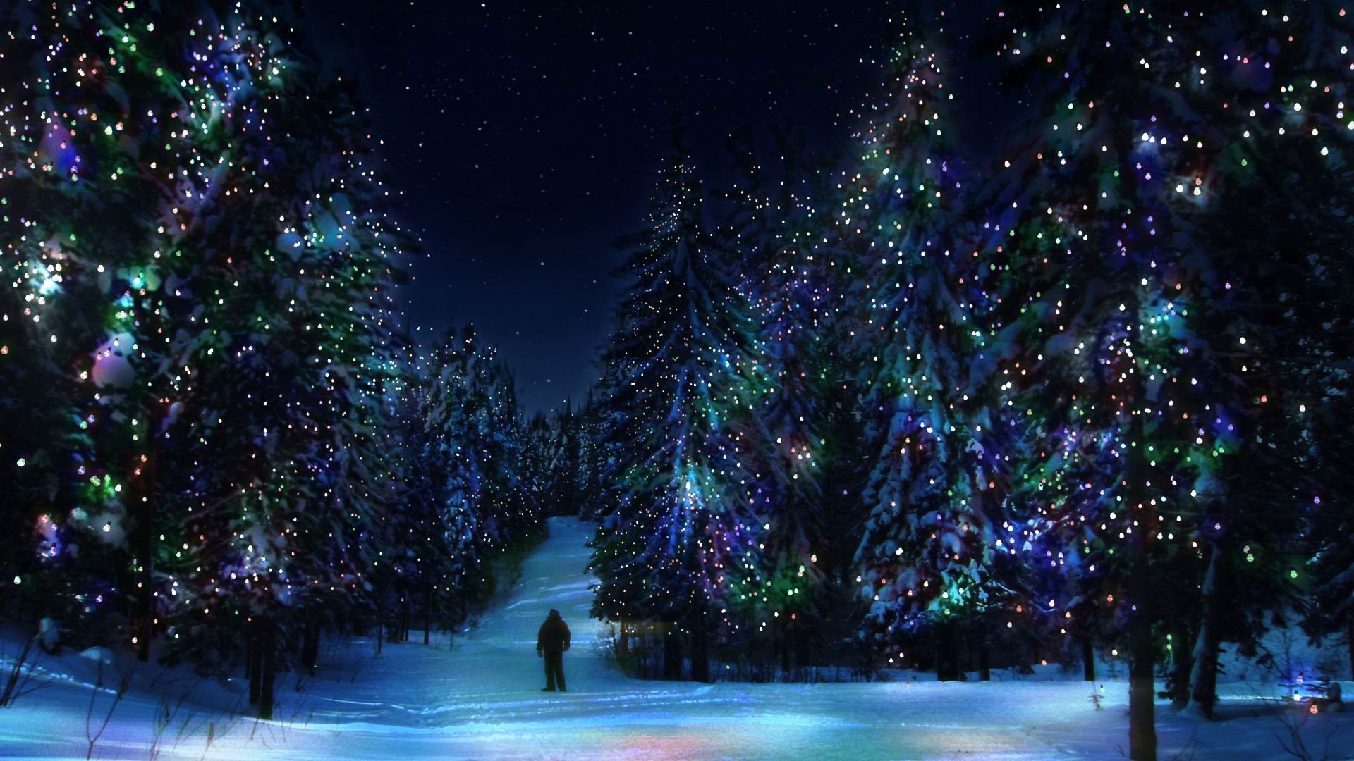 1920x1080 forest christmas tree winter new year decoration light