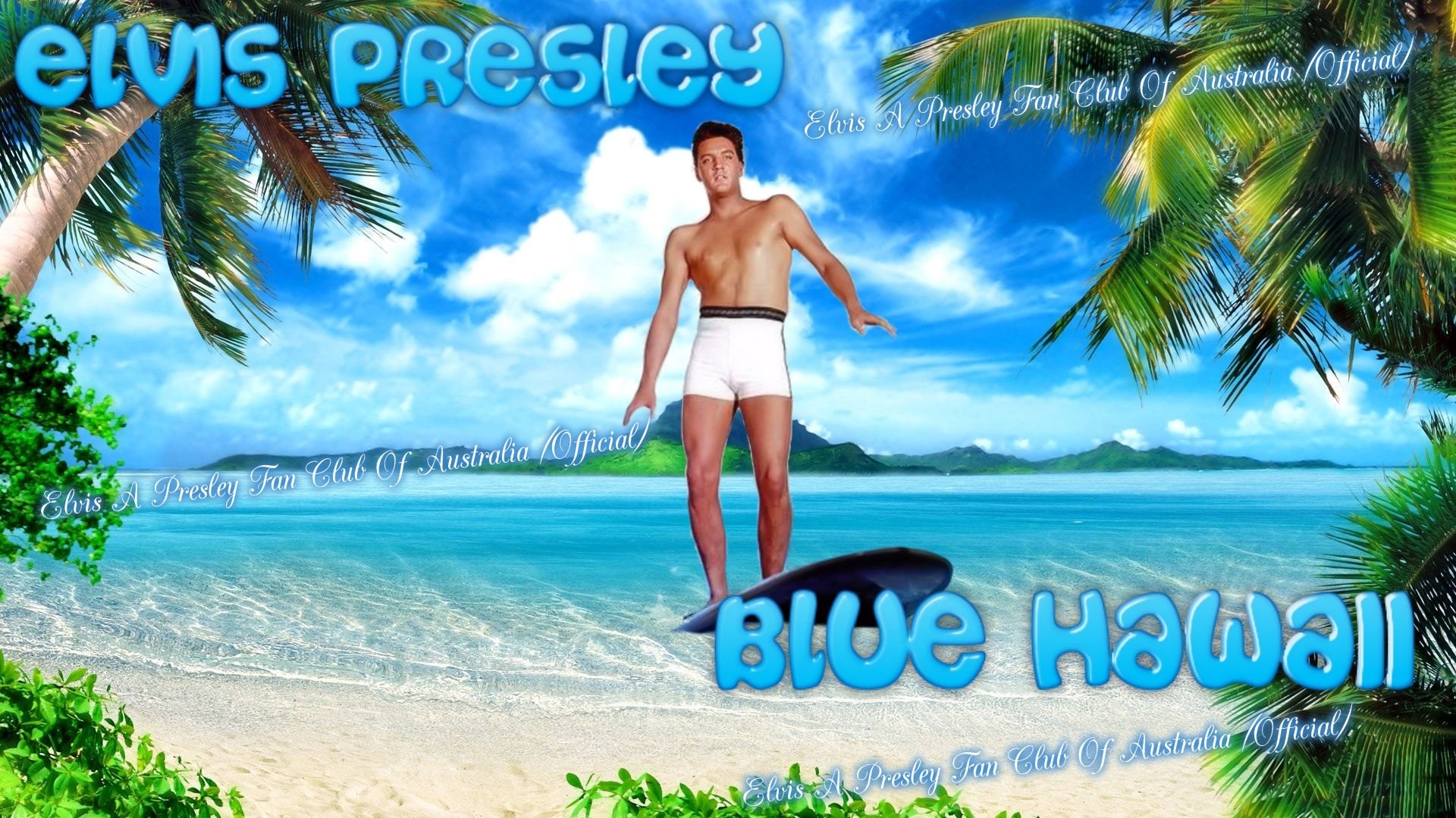 1920x1080 Elvis A Presley Fan Club Of Australia images blue Hawaii Wallpaper HD  wallpaper and background photos
