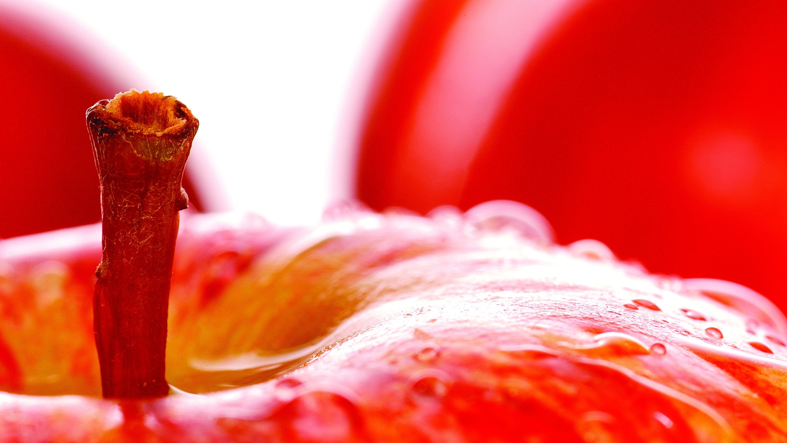 2560x1440 Red Apple Fruit Up Close Wallpaper 3615