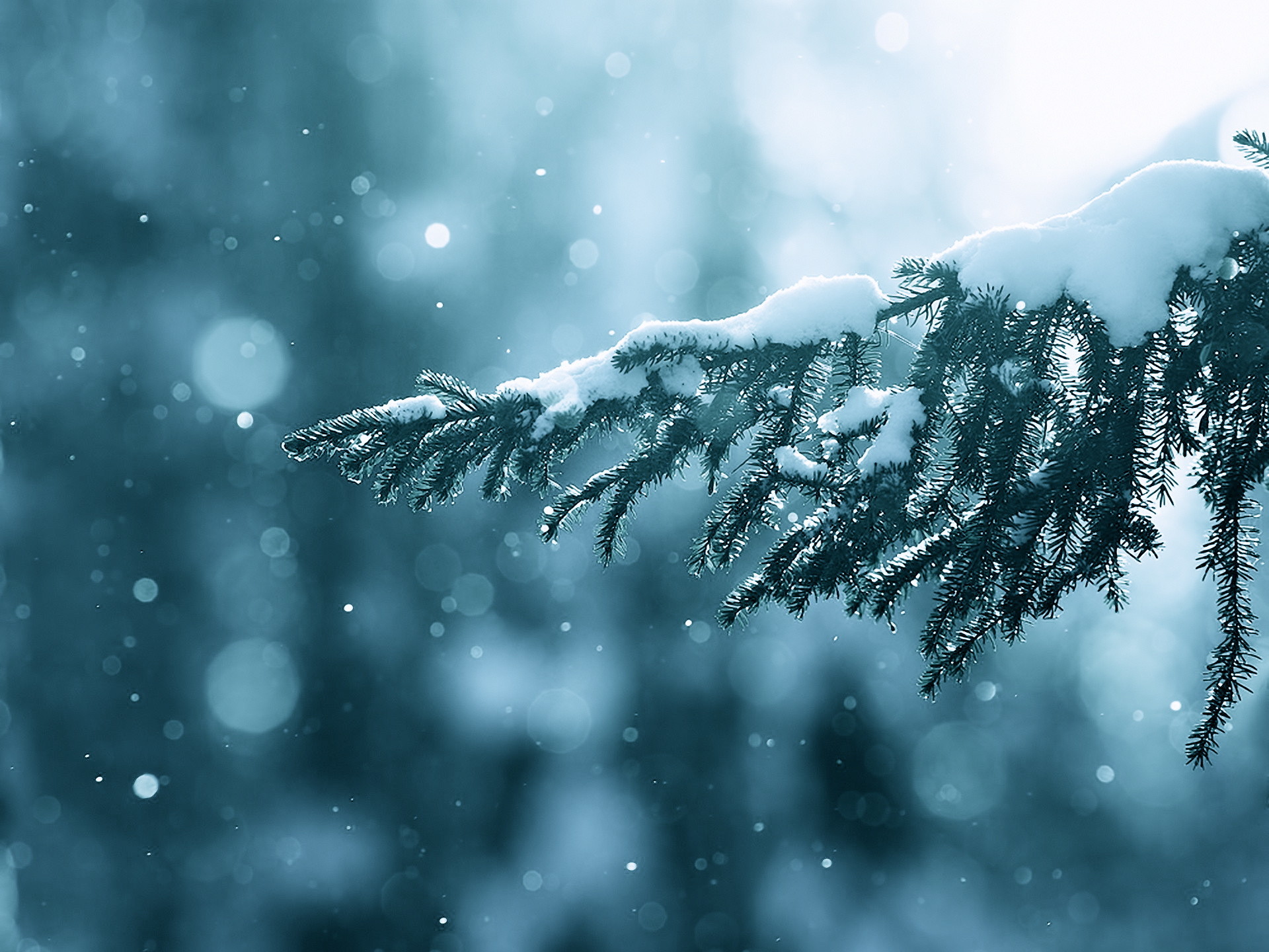 1920x1440 Winter Snow Wallpapers (34 Wallpapers)