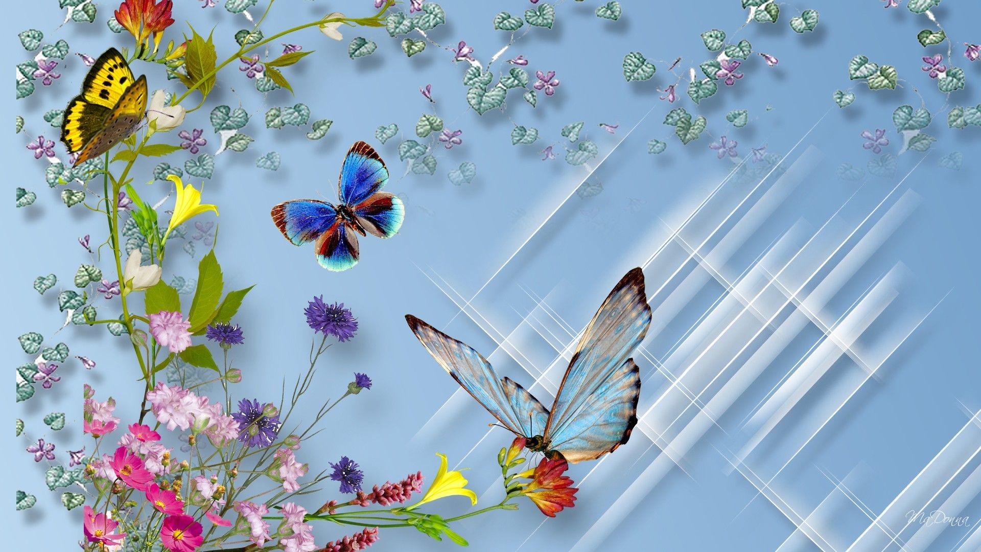 1920x1080 Butterfly And Flower Wallpapers 