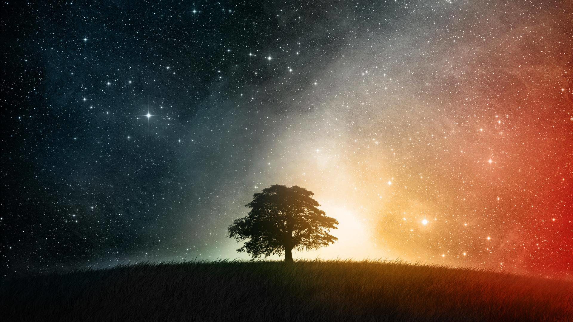 1920x1080 Trees sky night stars creative wallpaper - (#21978) - High Quality .
