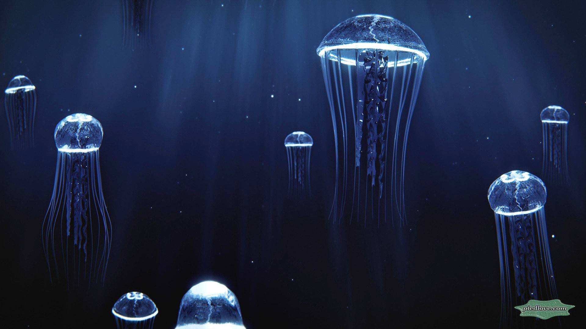 1920x1080 Precious Jellyfish 3D Hovering Under Deep Blue Sea Wallpaper