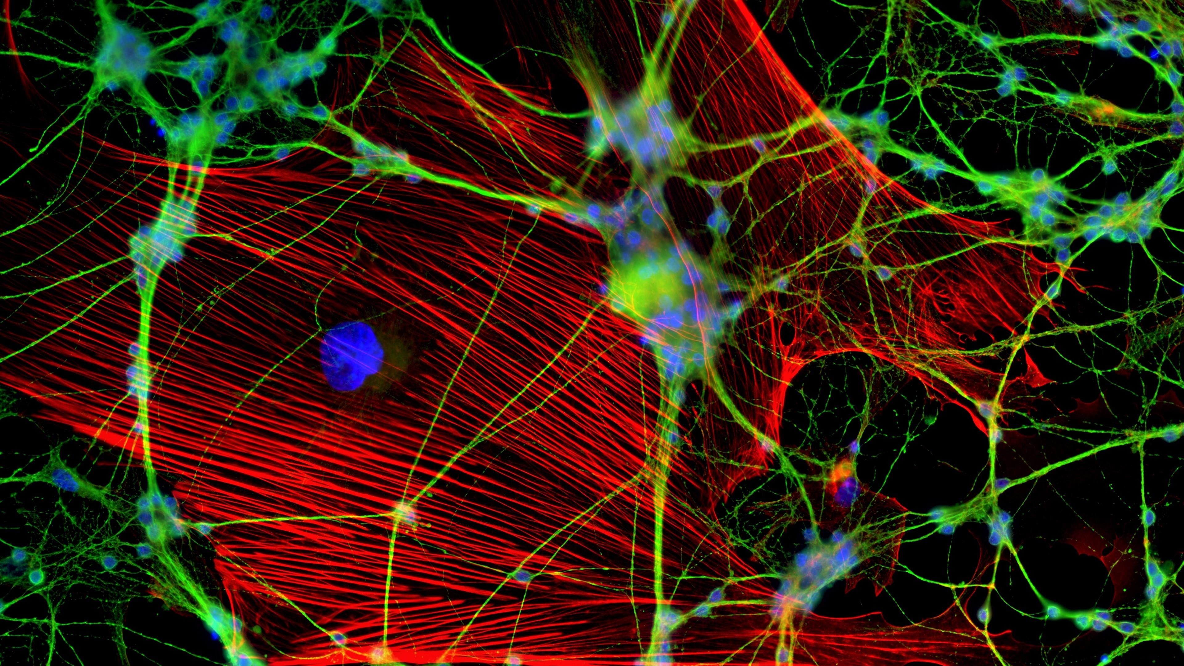 Creative dynamic blue neuron plasma energy laser. Futuristic virtual  technology wallpaper, digitally generated image. 3D Rendering. Stock  Illustration | Adobe Stock