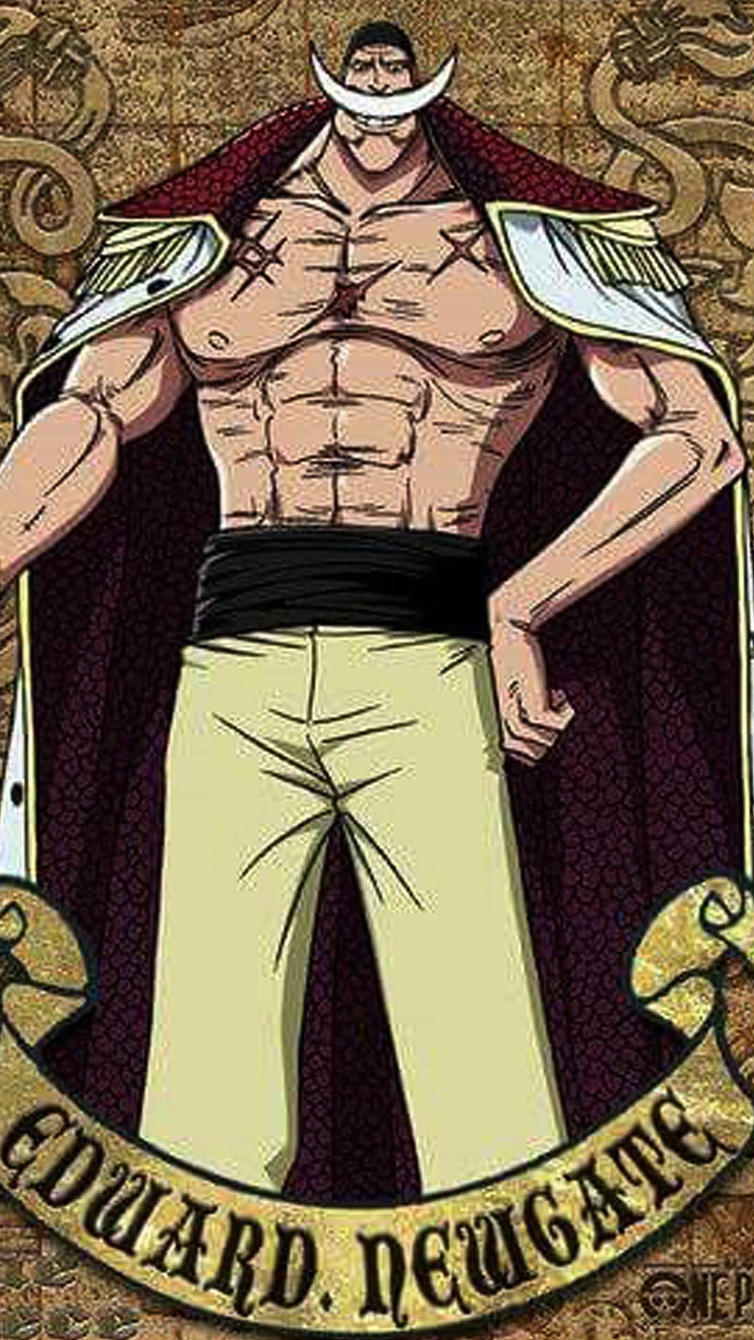 Whitebeard Wallpapers (67+ images)