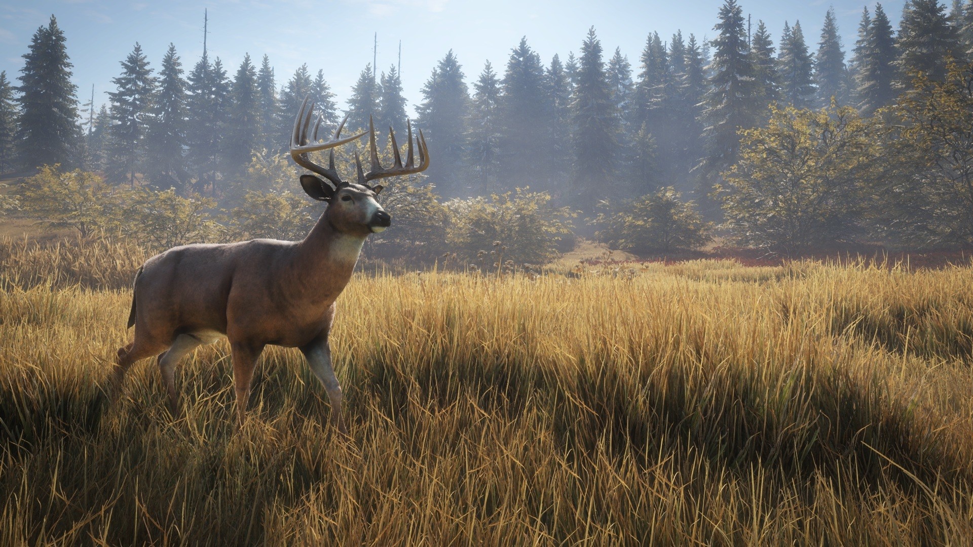 1920x1080 The whitetail deer is known to be one of the fastest moving deer species,  able to reach incredible speeds of up to 75 km/h (47 mph) when startled and  ...