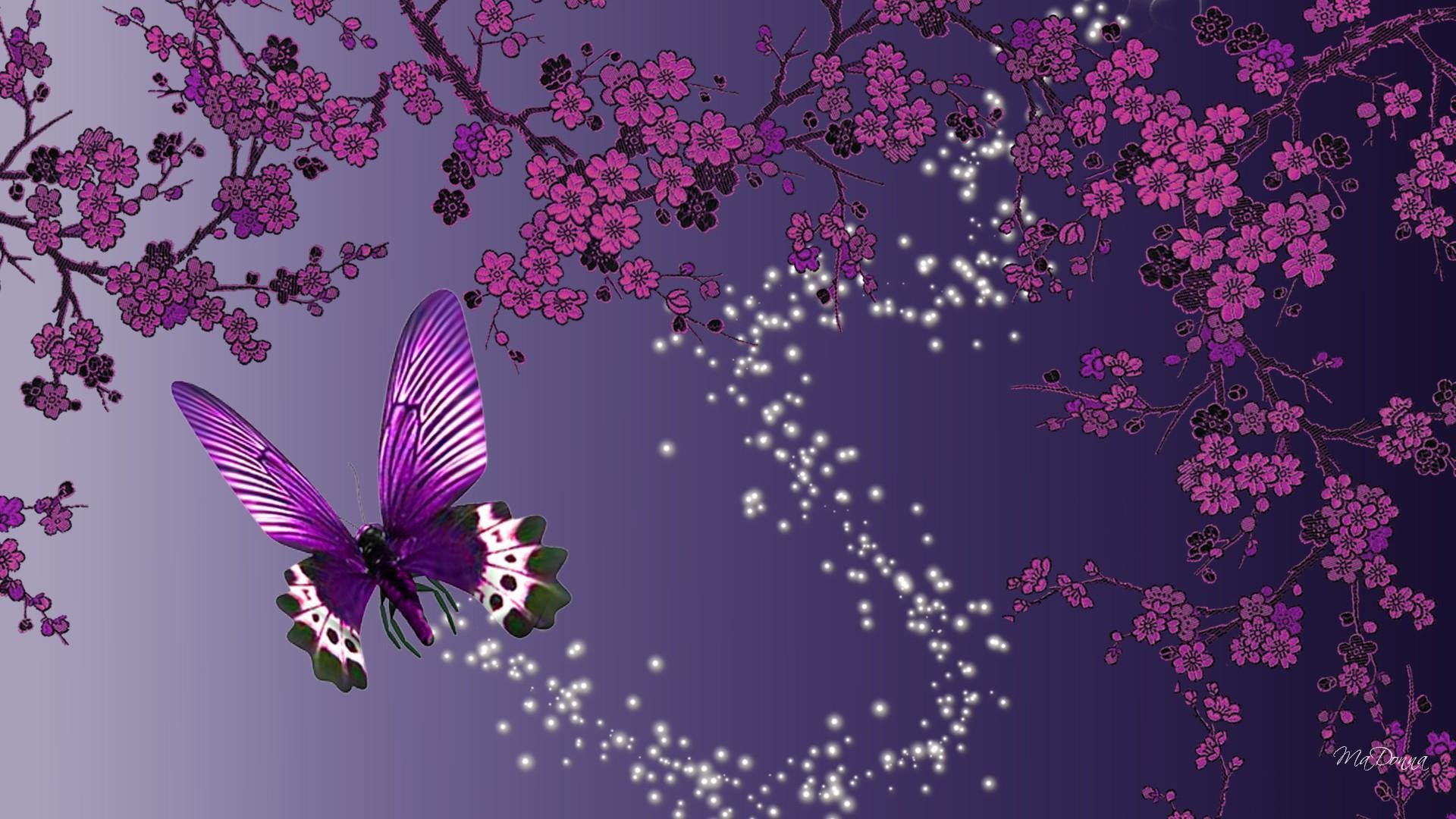 1920x1080 sparkly butterfly wallpaper #632959
