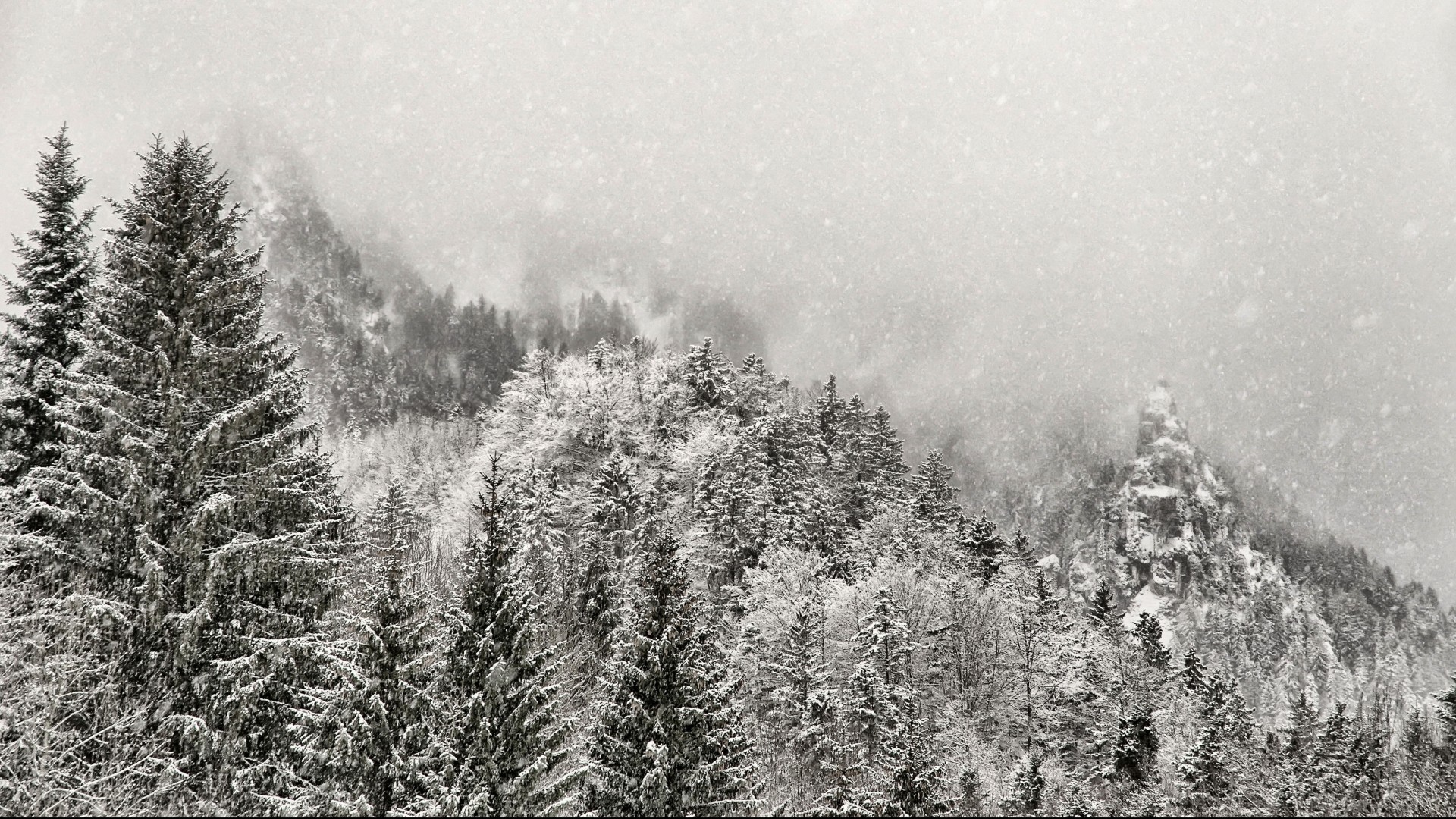 1920x1080 Winter snow mountains fog forest wallpaper |  | 34157 | WallpaperUP