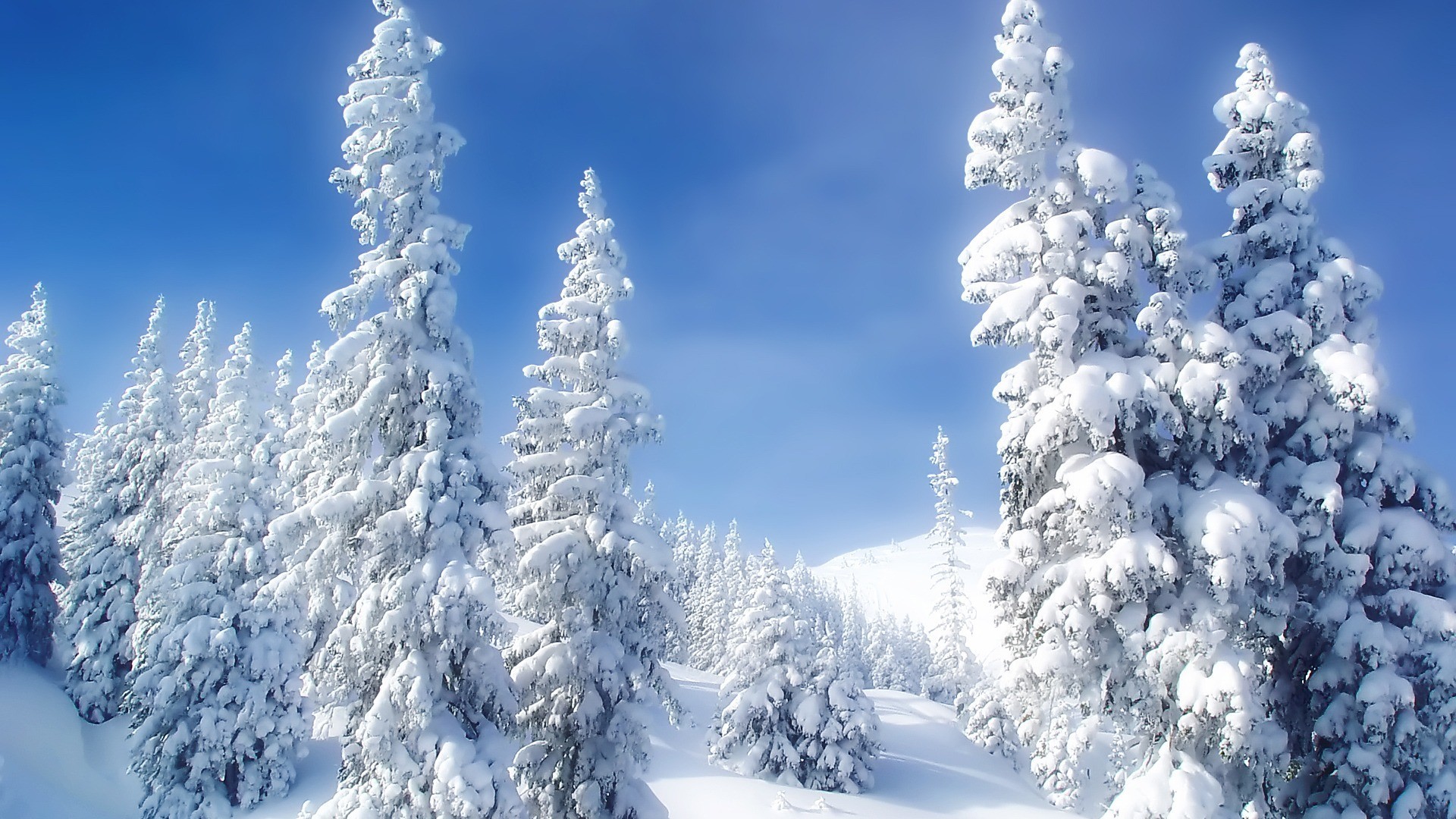 1920x1080  Winter Wonderland Desktop Wallpapers Source Â· Winter Wonderland  Desktop Background