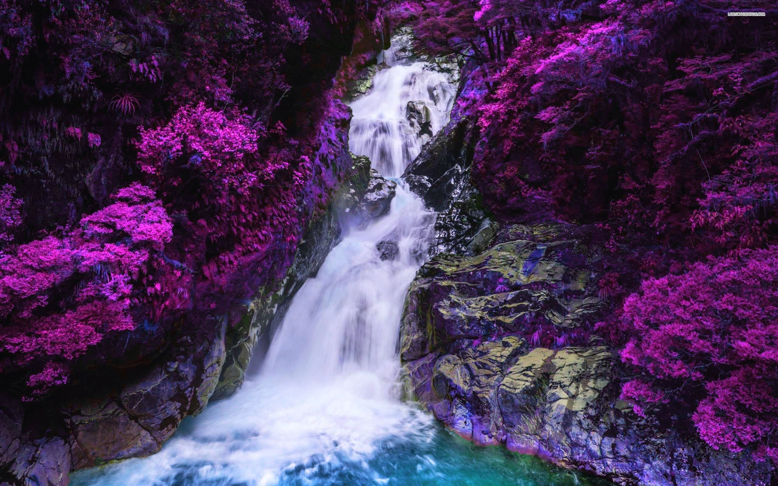2560x1600 Waterfall Surrounded By Purple Trees