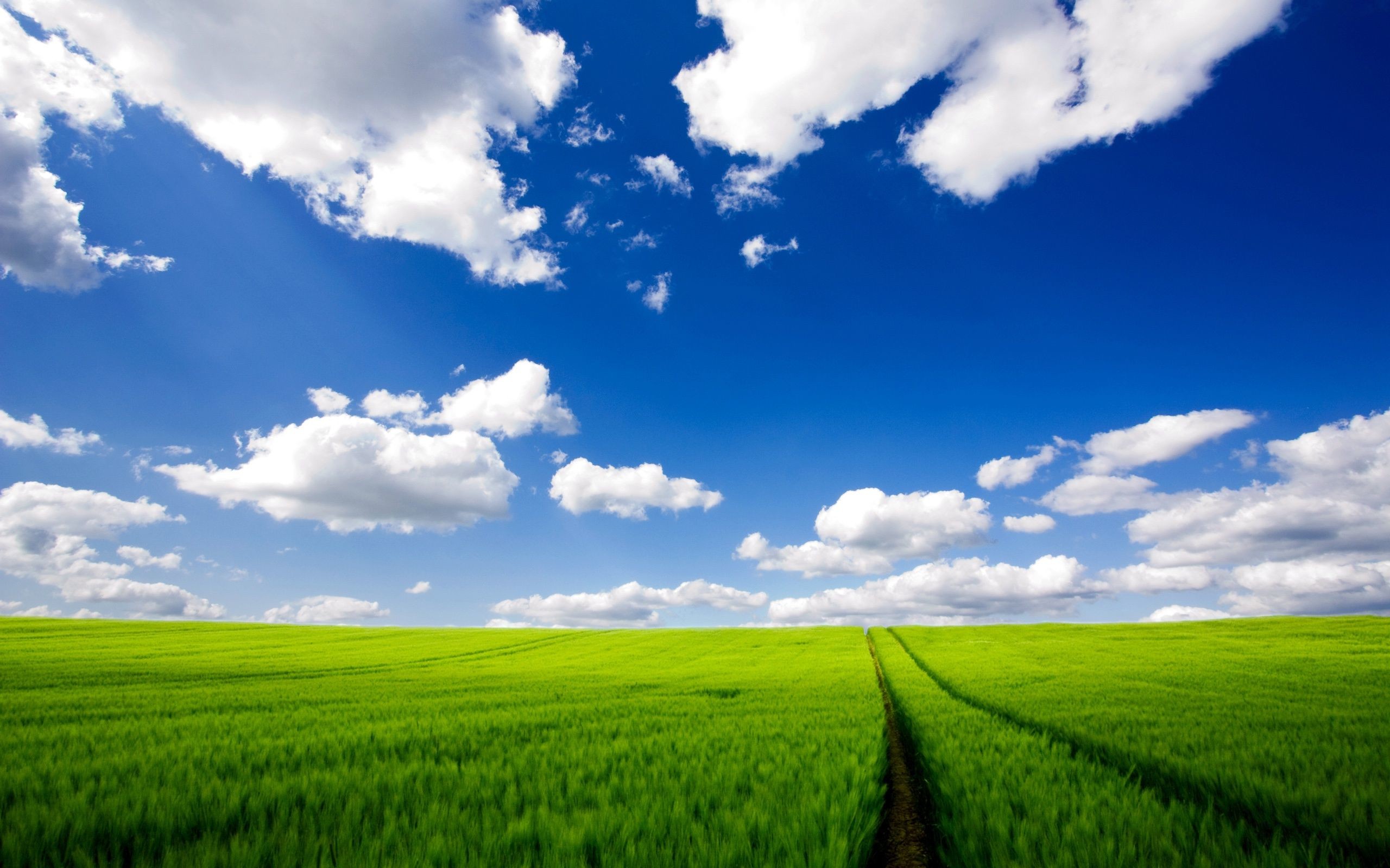 2560x1600 wallpaper.wiki-Cloudy-Sky-Background-for-PC-PIC-