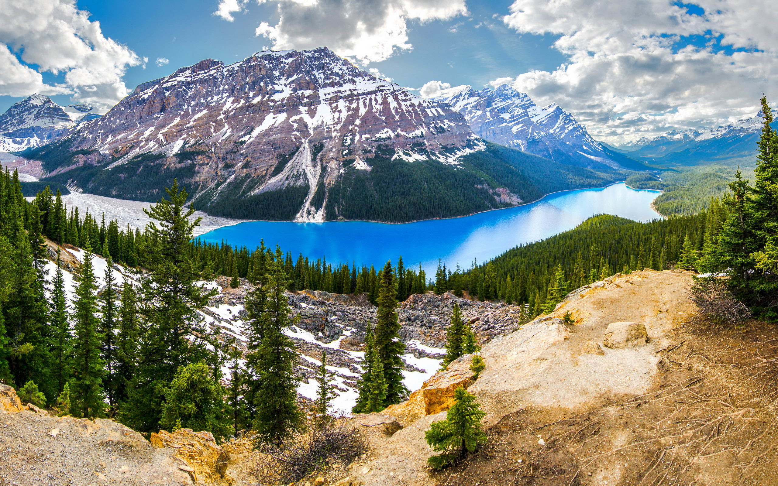 2560x1600 Bild: Lake Louise Banff Kanada Firs wallpapers and stock photos. Â«