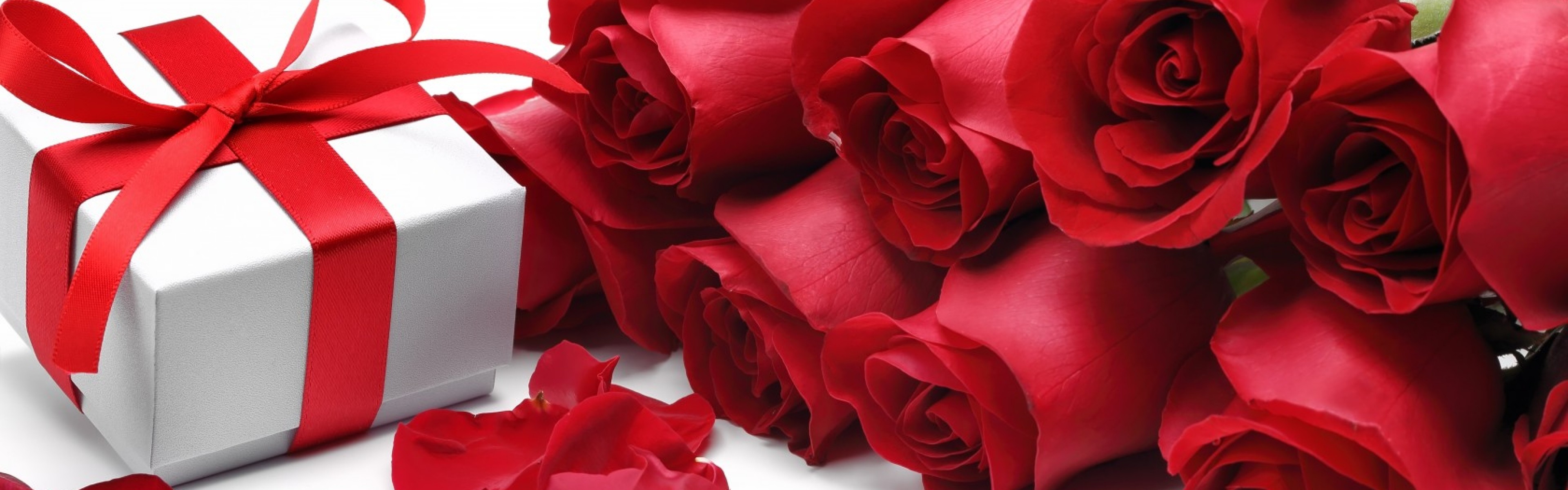 3840x1200  Wallpaper flowers, roses, red roses, gift