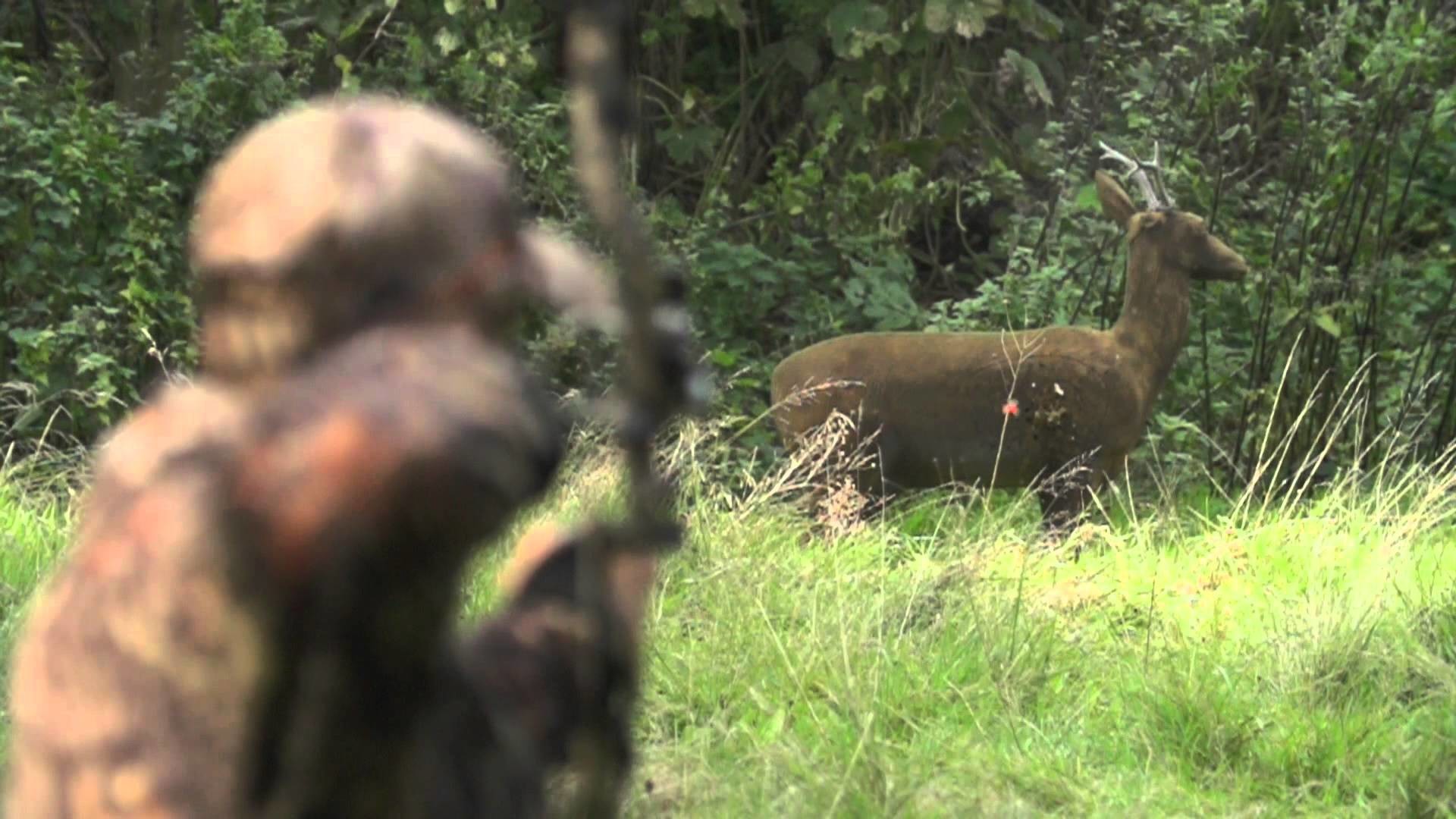 1920x1080 Super slow motion 3D archery, Mathews Chill-R, Monster MR6. Nordica  Outdoors - YouTube