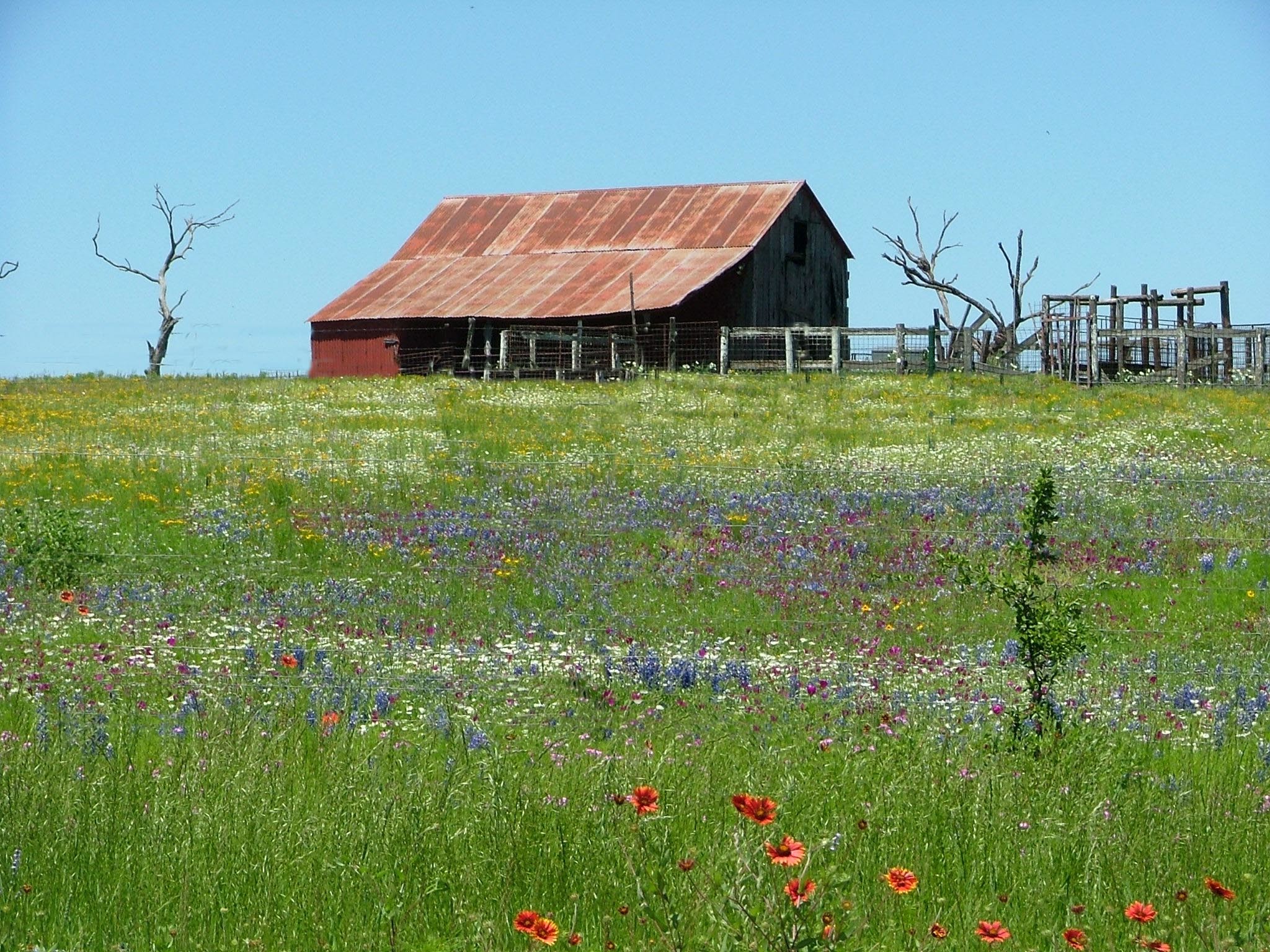 2048x1536 Texas Hill Country Barn in Wildflowers