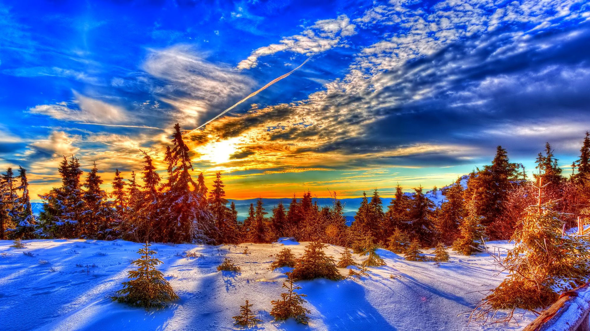 1920x1080 Winter sunlight over pine forest HD Wallpaper 