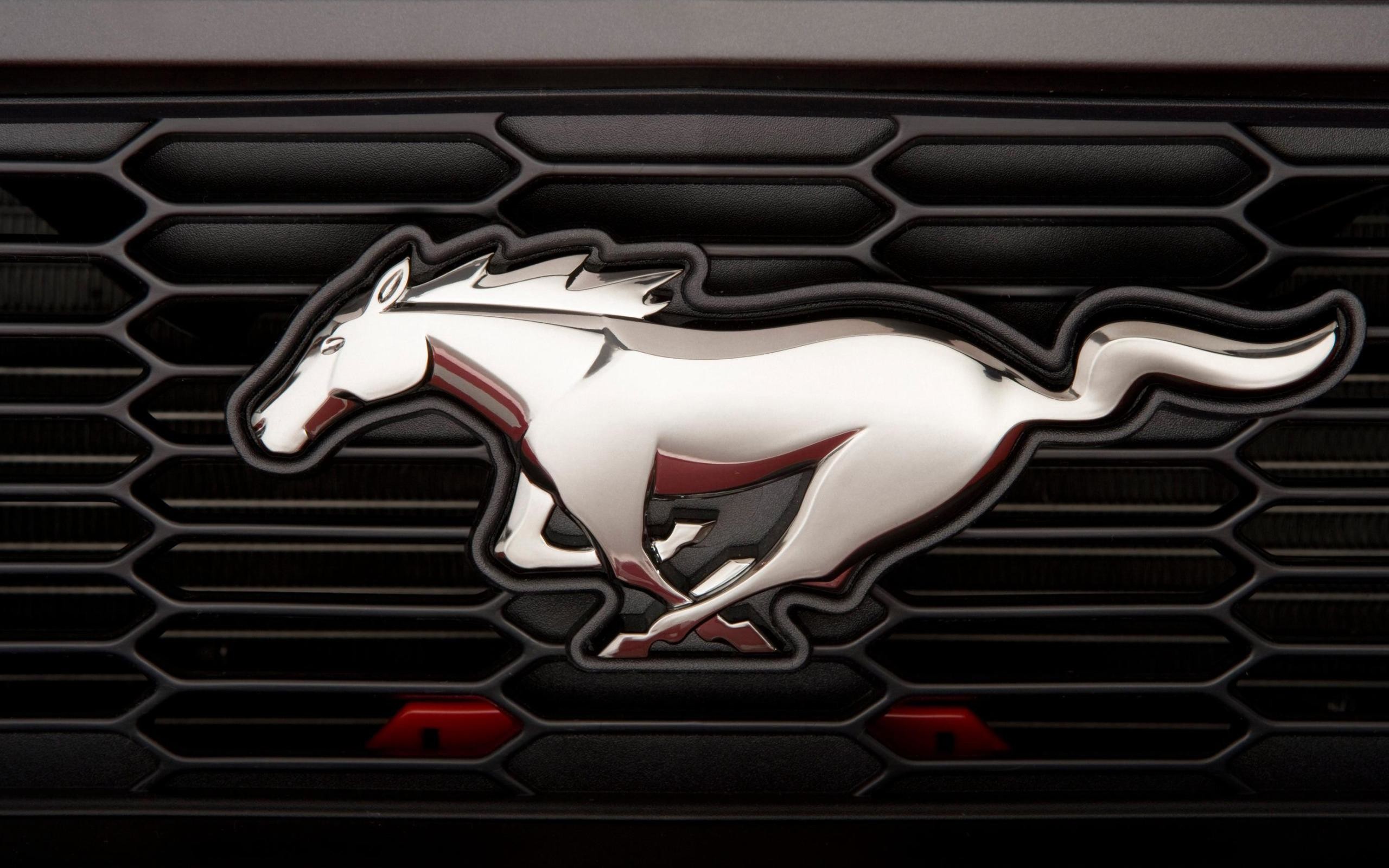 2560x1600 Ford Mustang Logo