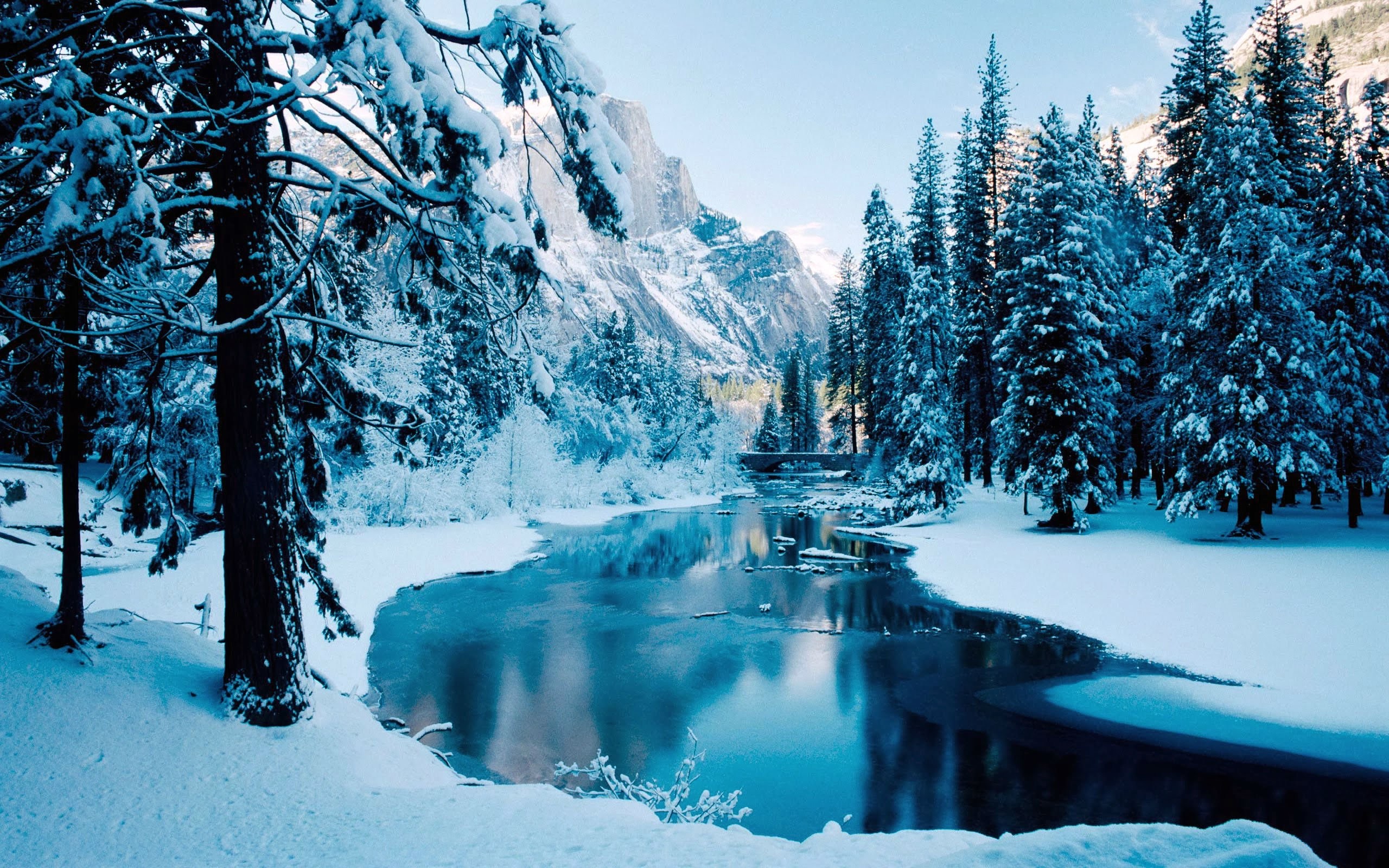 2560x1600 Winter snow river forest reflection wallpaper |  | 555324 |  WallpaperUP
