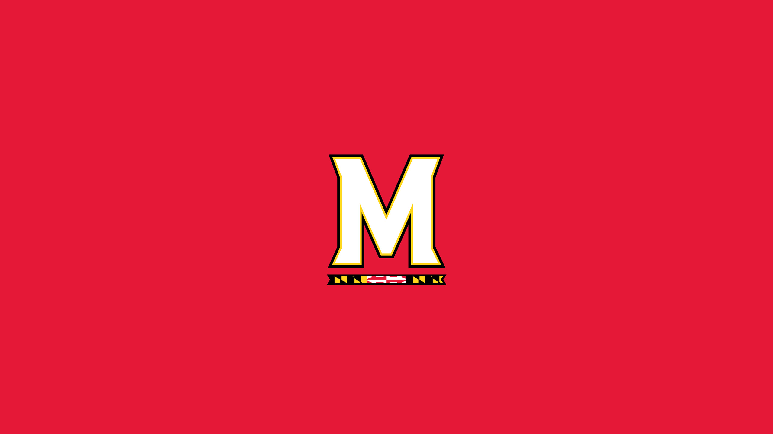 2560x1440 University Of Maryland Wallpapers by Alicia Hayes #12