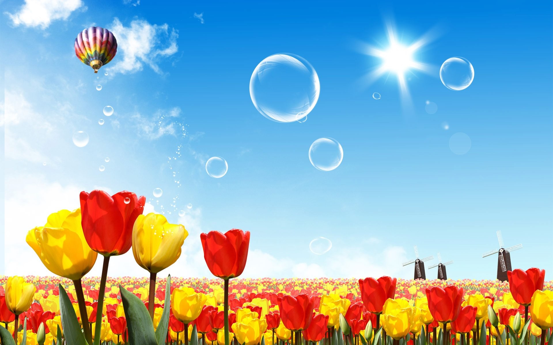 1920x1200 most-beautiful-colorfull-flowers-airbaloon-picture-wallpaper-screensaver