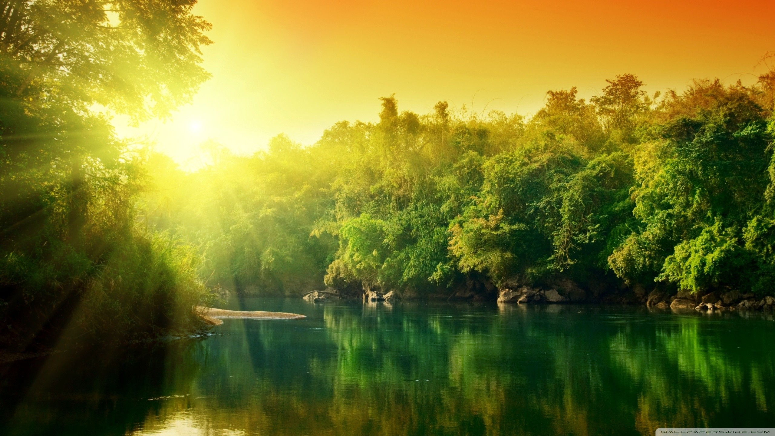 2560x1440 Lush Green Forest River At Sunrise HD desktop wallpaper : High