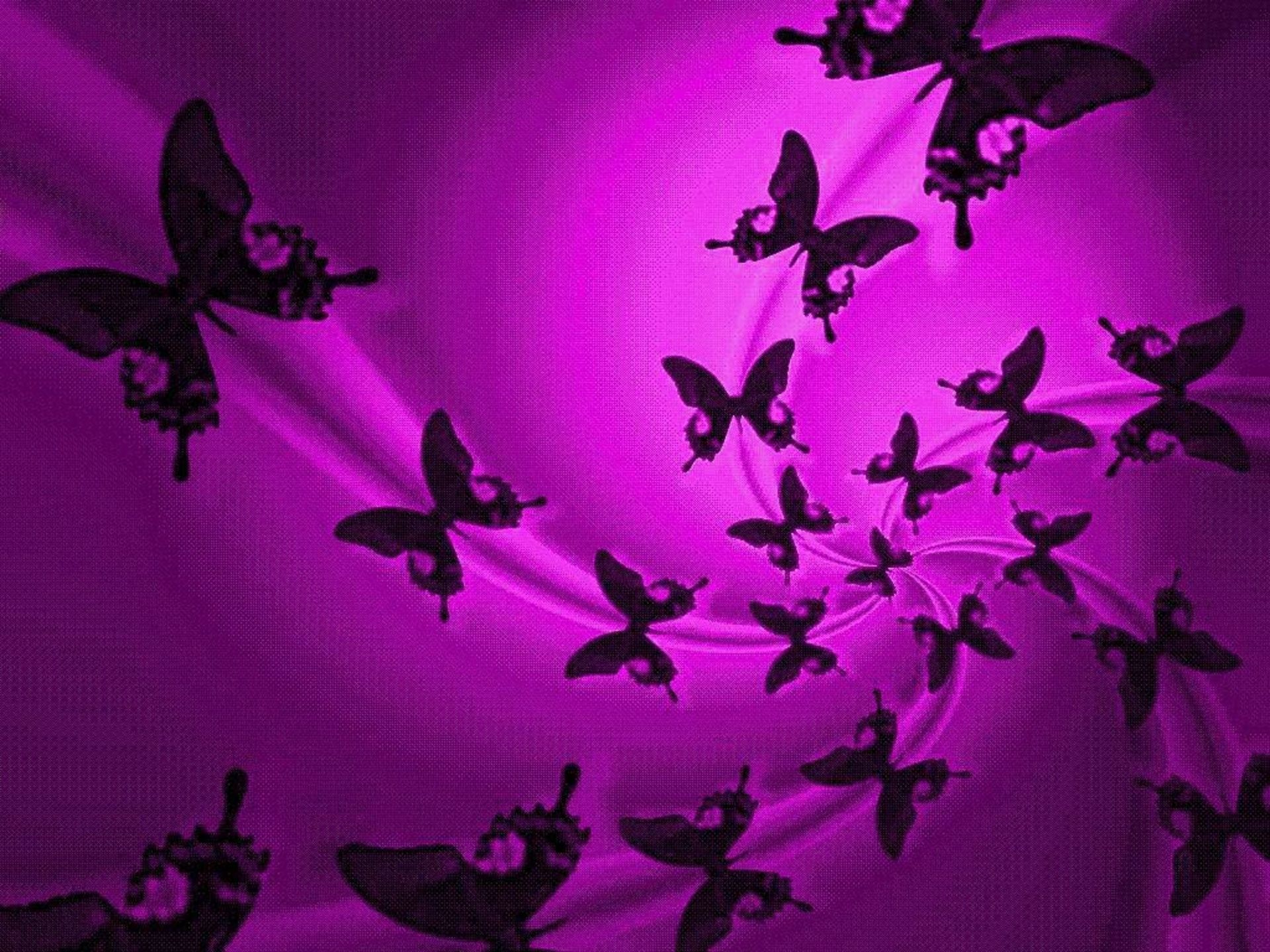 1920x1440 [ px] HD Wallpaper : Purple Butterfly Backgrounds