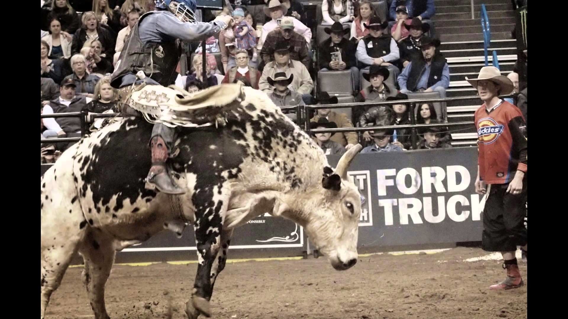 1920x1080 Bull Riding with Mike Lee