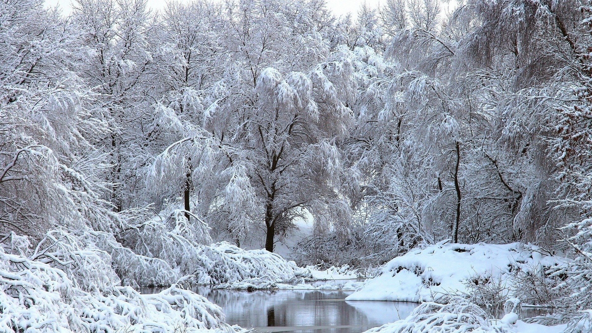 1920x1080 2C2F38 Color wallpapers: Snowy Scene Forest Snow Tree Lake Winter .