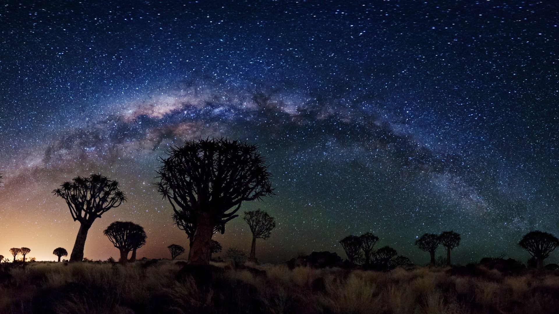 1920x1080 Milky Way Over Quiver Tree Forest