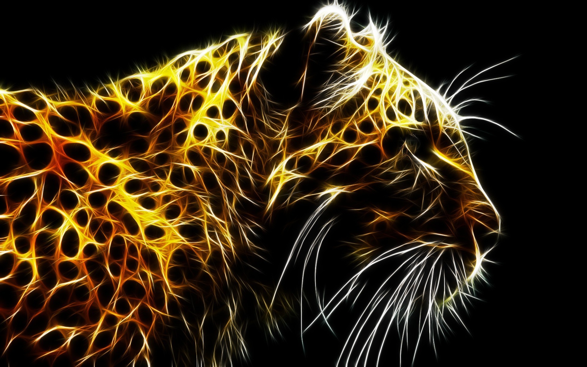 1920x1200 abstract, Animals, Leopard Wallpapers HD / Desktop and Mobile Backgrounds