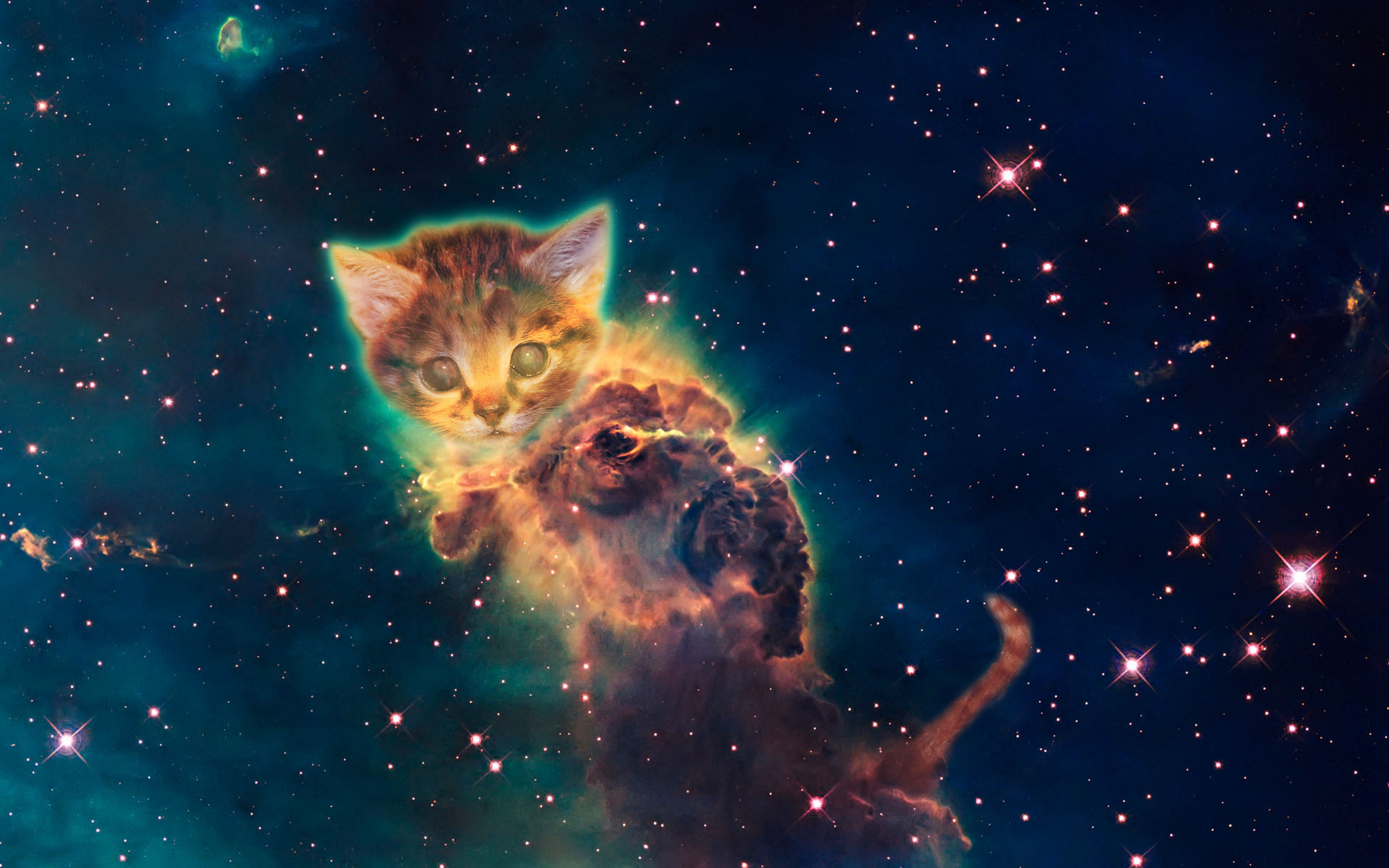 1920x1200 Galaxy Cat Wallpaper - Bing images
