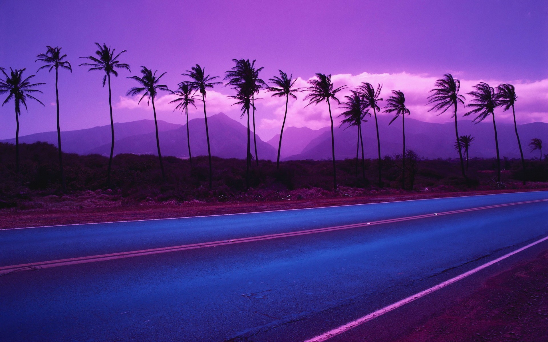 1920x1200 #purple, #sunset, #nature, #palm trees, #road, #landscape, wallpaper