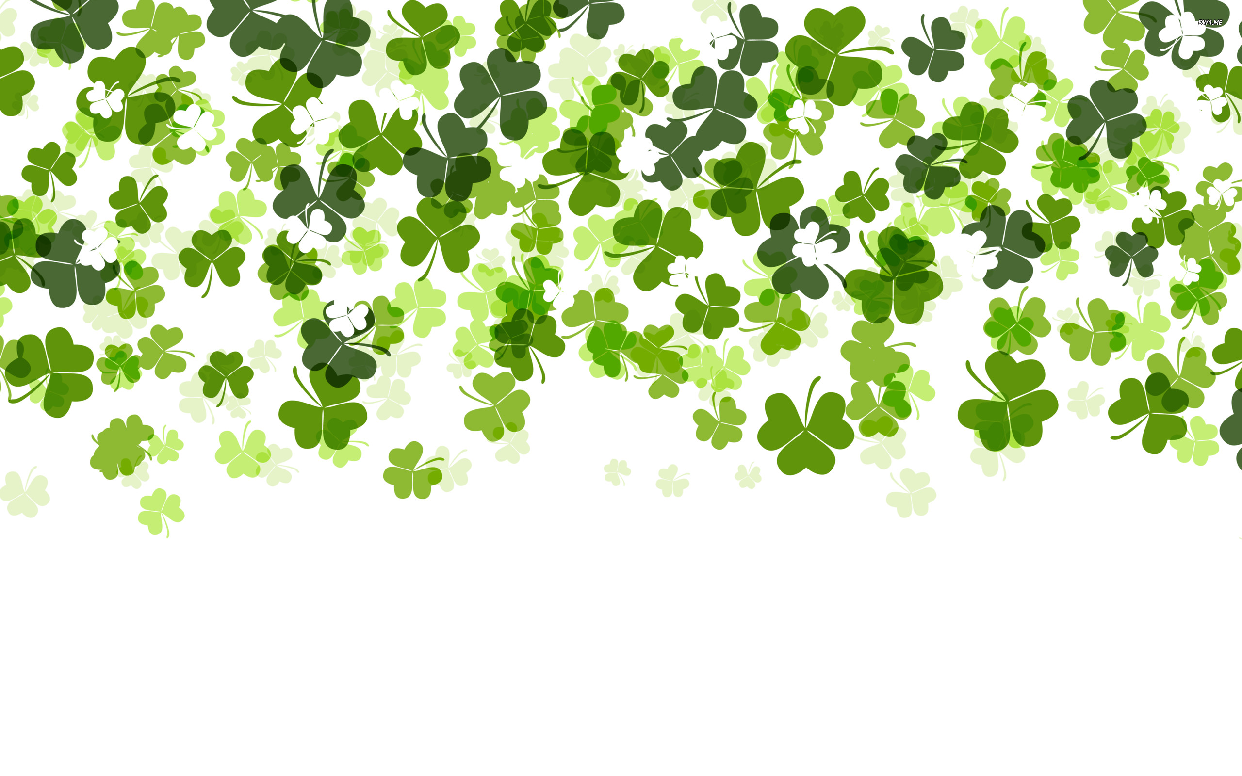 2560x1600 shamrocks pic to download (Sinjin Chester 2560 x 1600)