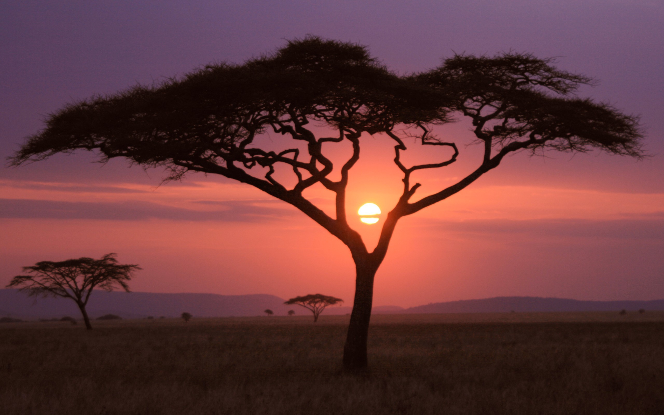 2560x1600 African Sunset