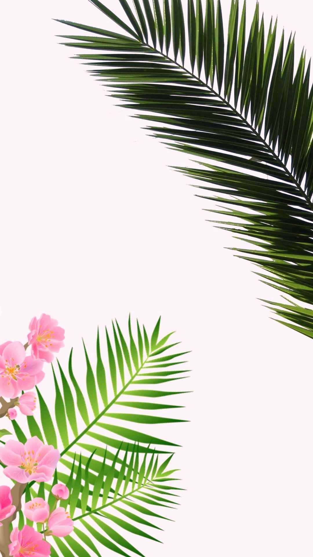 1080x1920 Palm Leaf Template Printable New Palm Tree Coloring Best Tropical Wallpaper  iPhone Background Pink