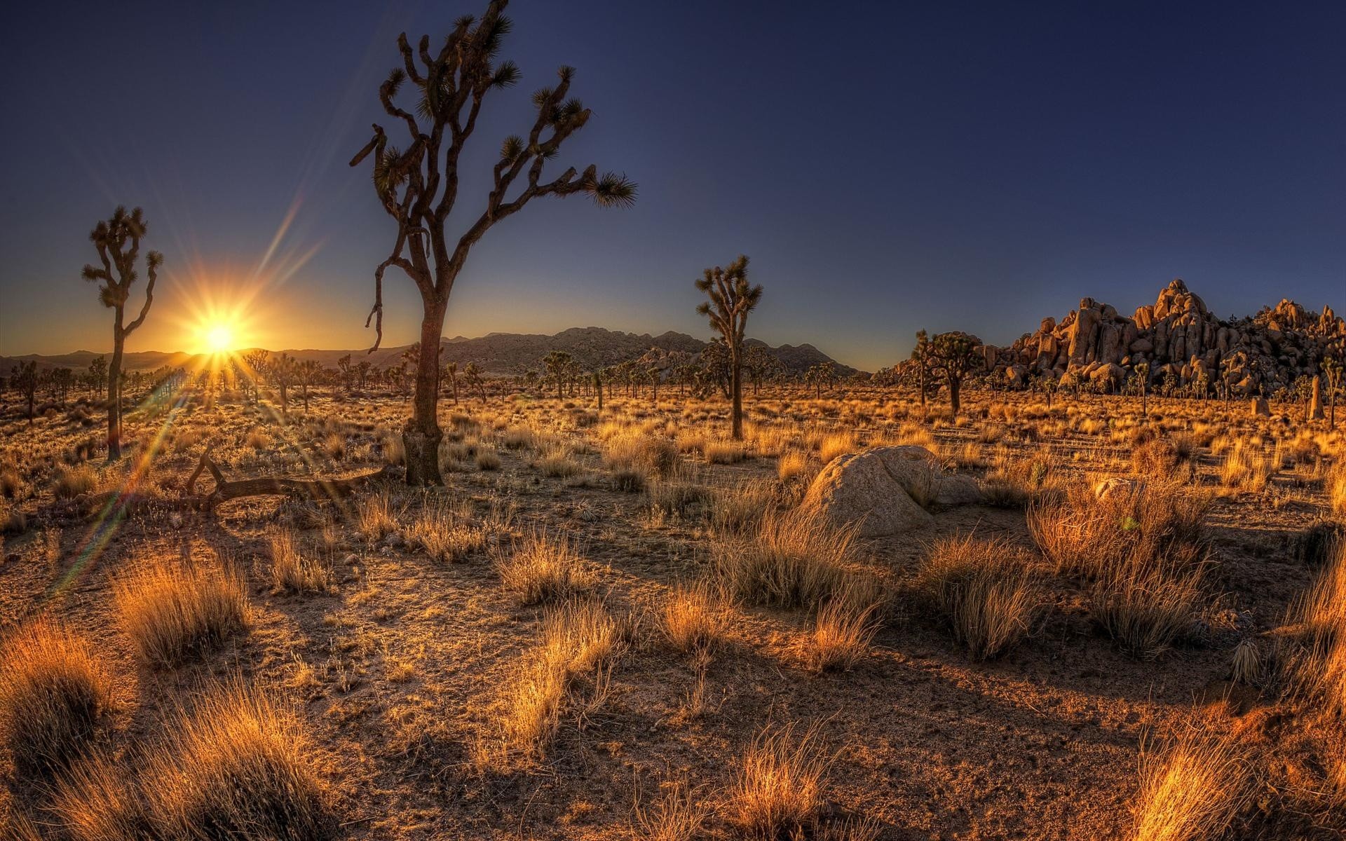1920x1200 Arizona Sunset Wallpaper 30127