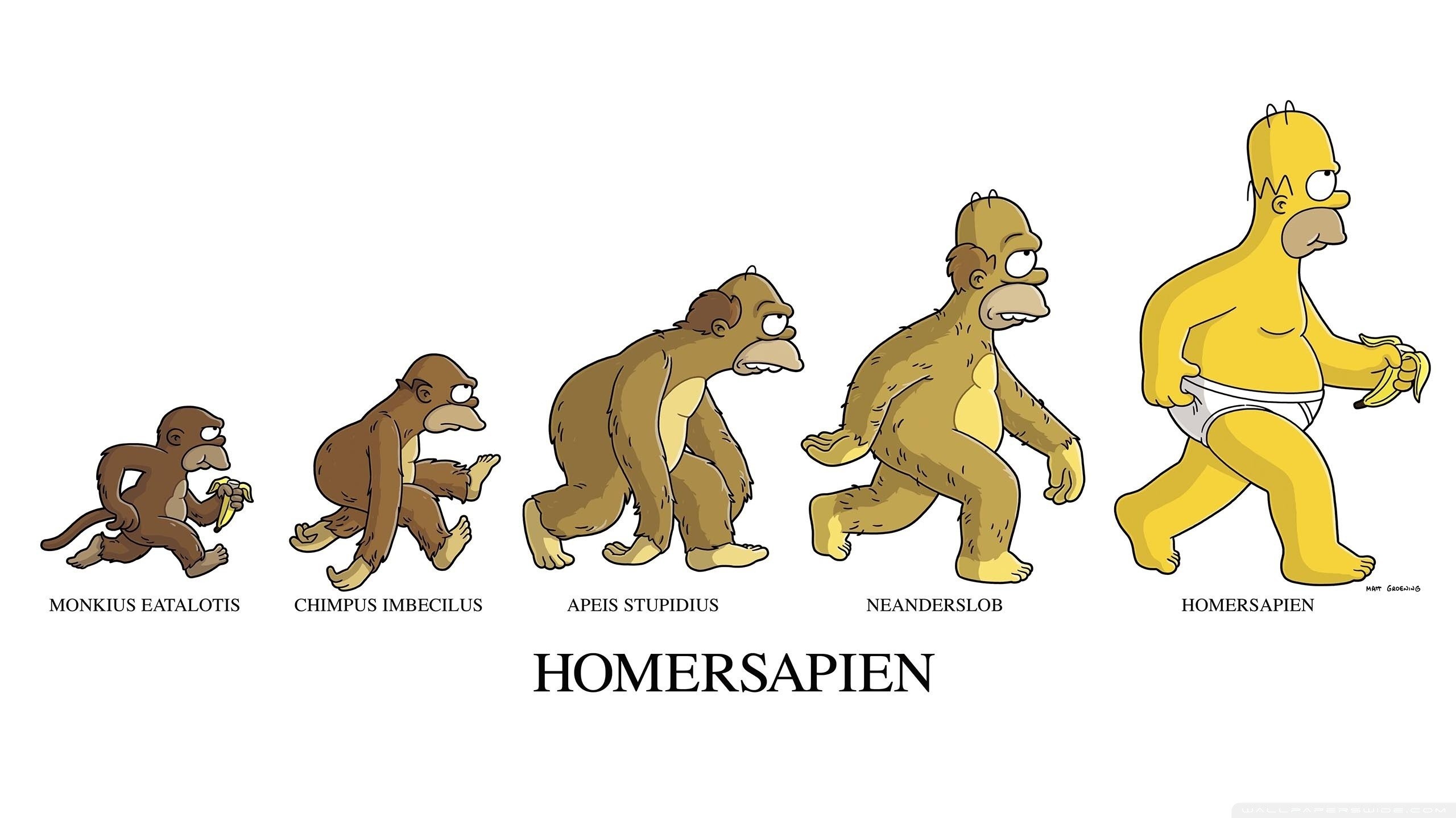 2560x1440 Bananas Evolution Funny Homer Simpson Monkeys The Simpsons
