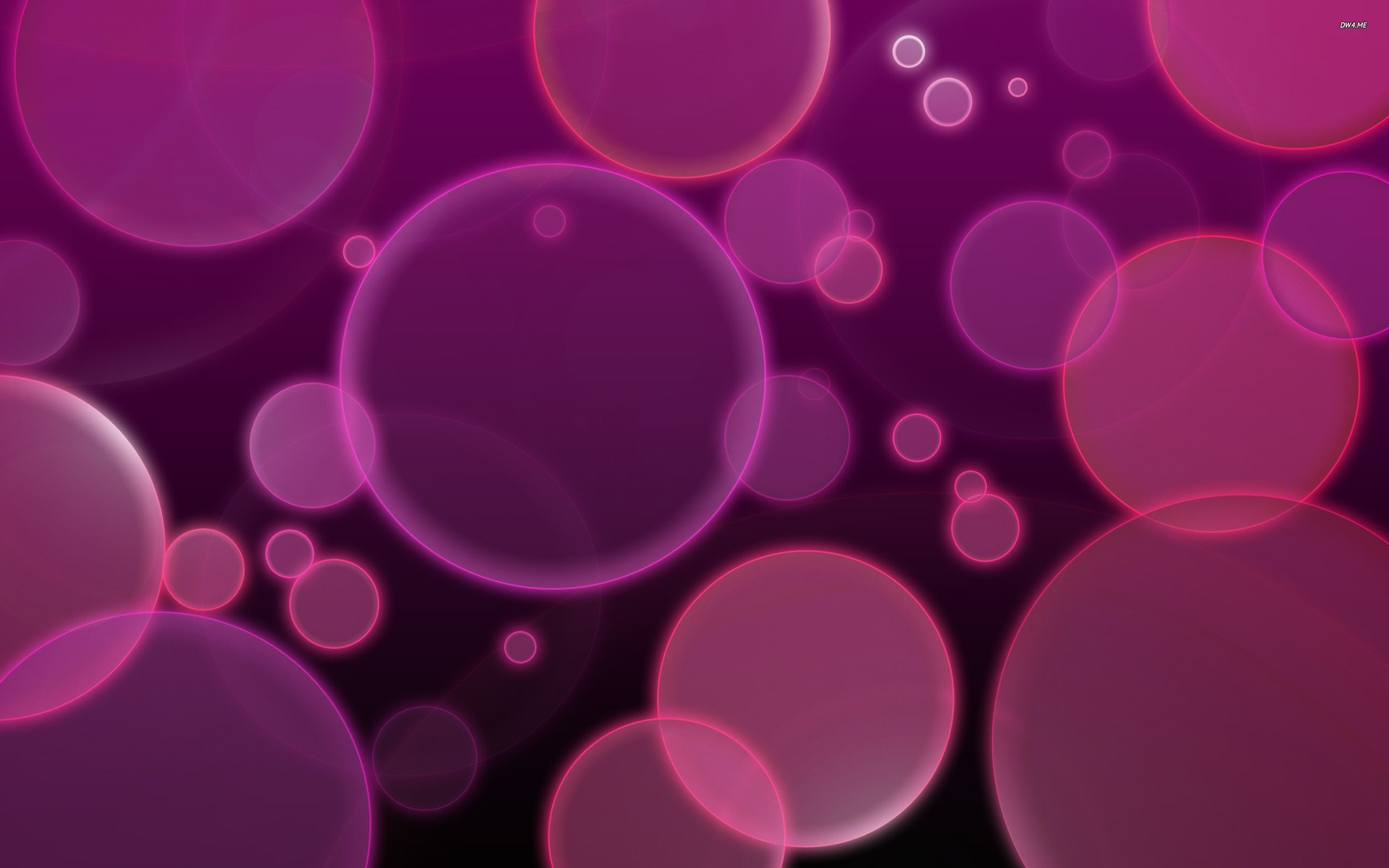 2560x1600 pink bubble circle abstract hd wallpaper