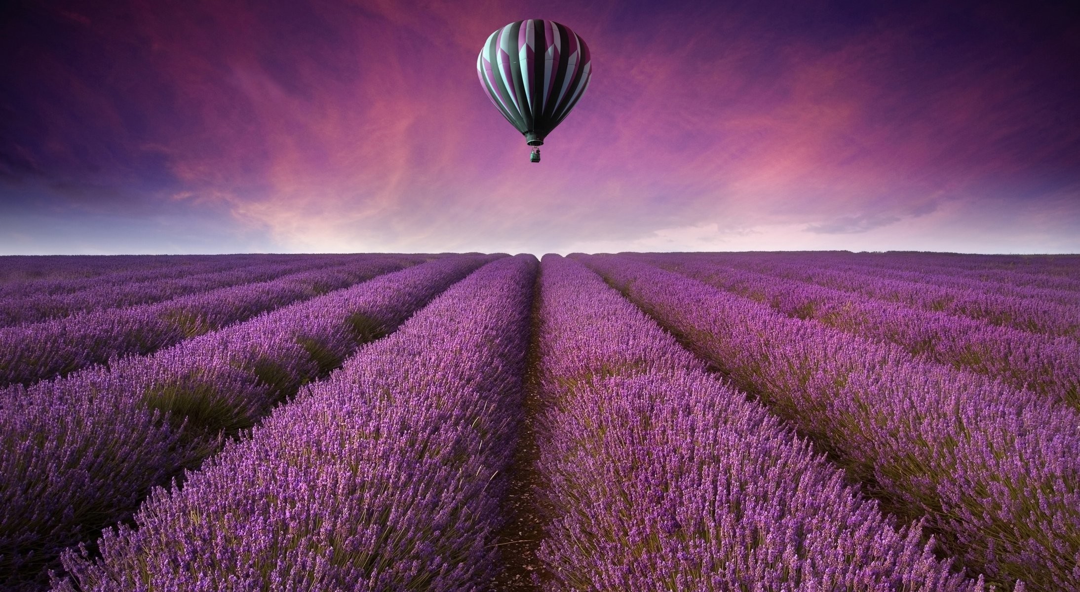 2188x1200 nature landscape the field of the field lavender air ball flower purple sky  background wallpaper widescreen