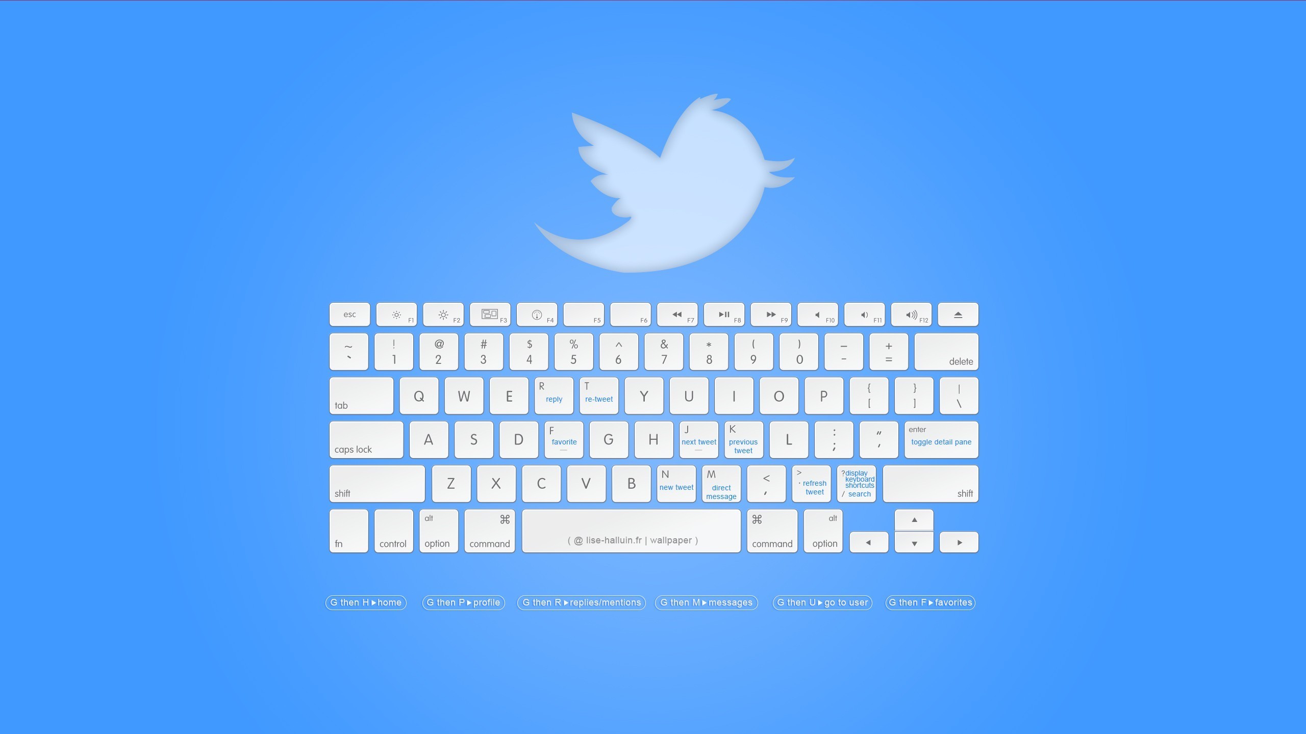 2560x1440 Minimalistic keyboards twitter hotkeys social media wallpaper