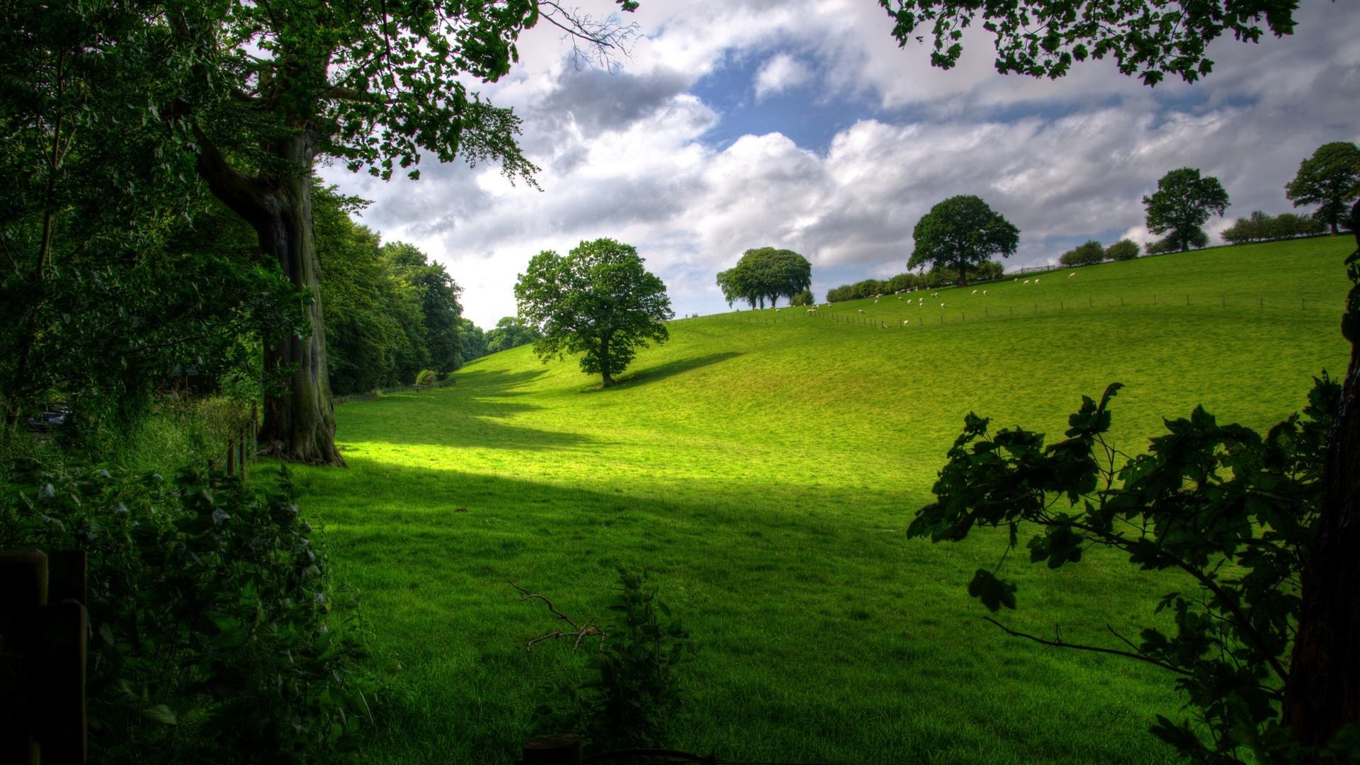 1920x1080 Scenic Green Hills Landscape