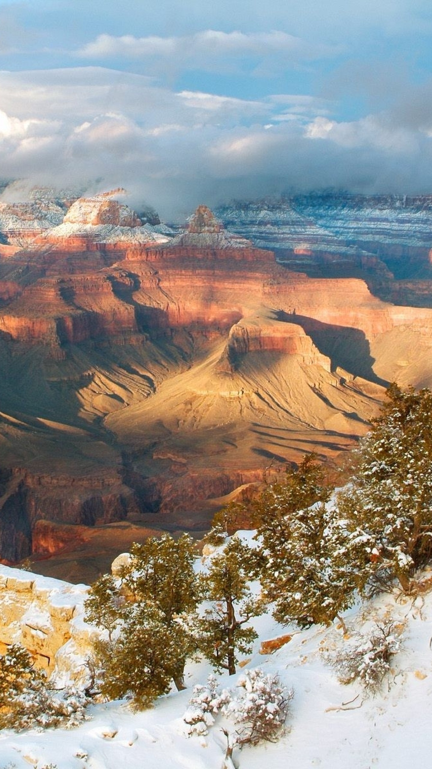 1440x2560  Wallpaper mountains, snow, winter, trees, canyons, height, arizona