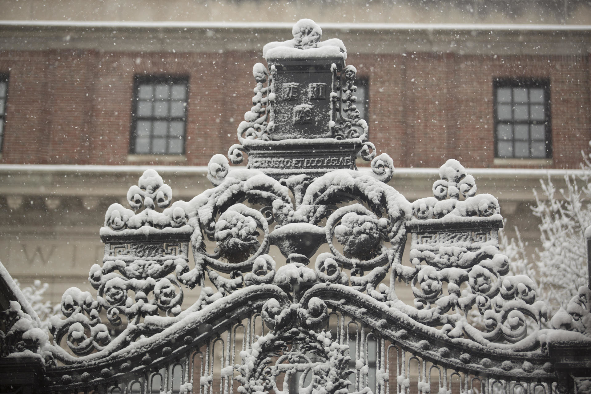1920x1280 Snowy gate to Harvard Yard
